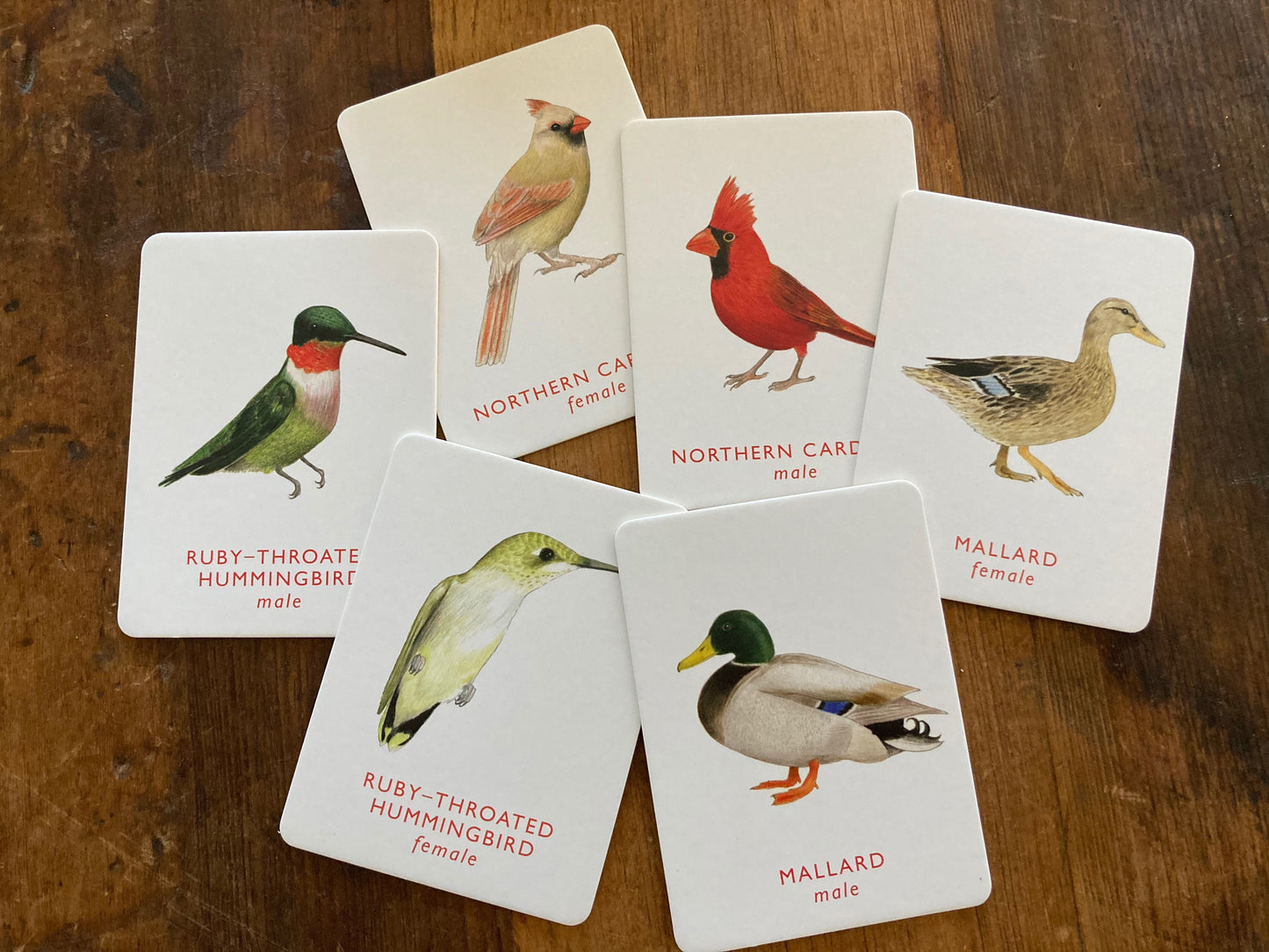 Educational Memory Game - MATCH A PAIR OF BIRDS