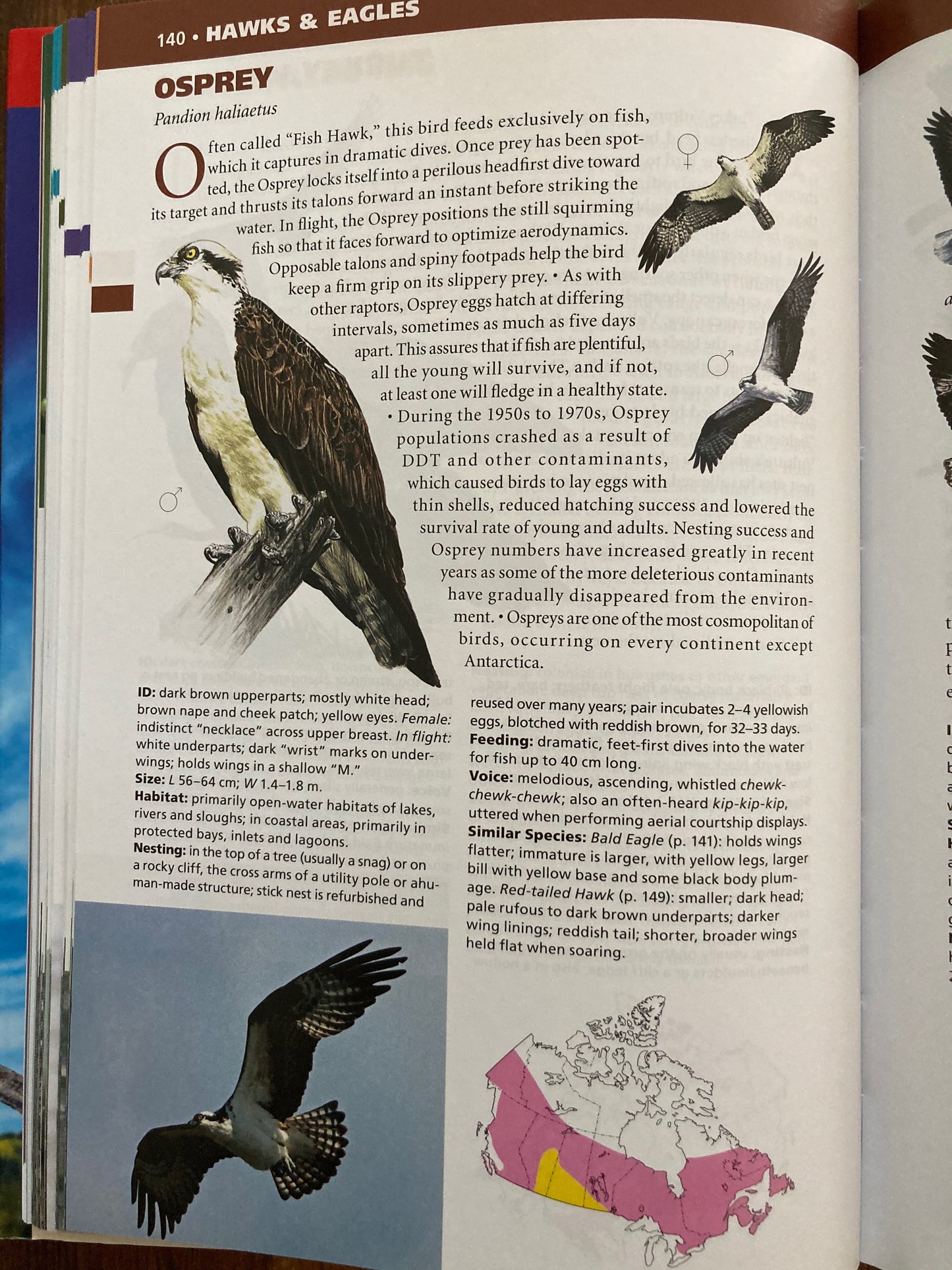 Educational Reference Book - BIRDS OF CANADA
