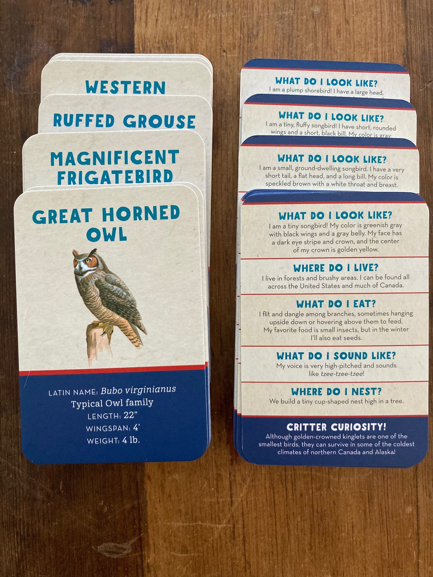 Educational Reference Card Set - BACKYARD BIRDS