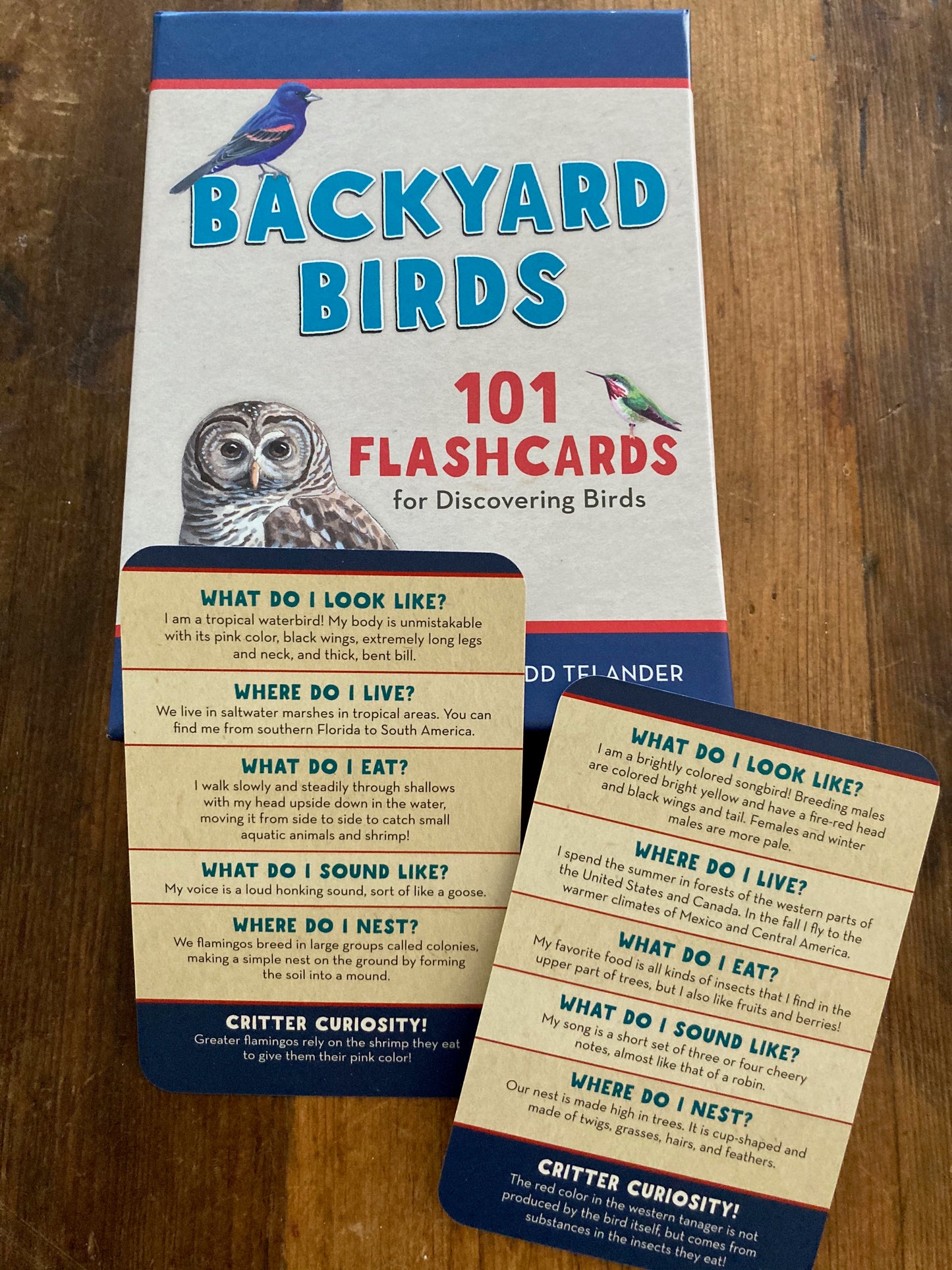 Educational Reference Card Set - BACKYARD BIRDS