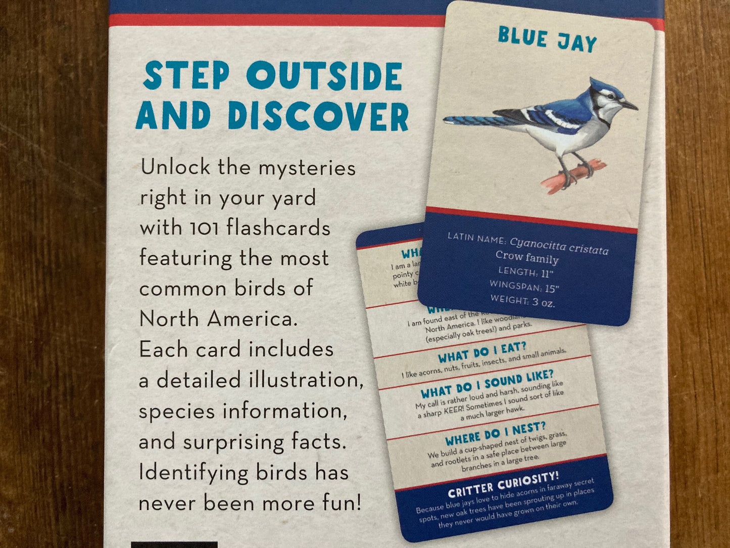 Educational Reference Card Set - BACKYARD BIRDS