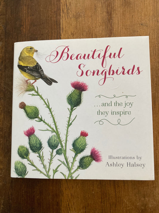 Educational Picture Book - BEAUTIFUL SONGBIRDS
