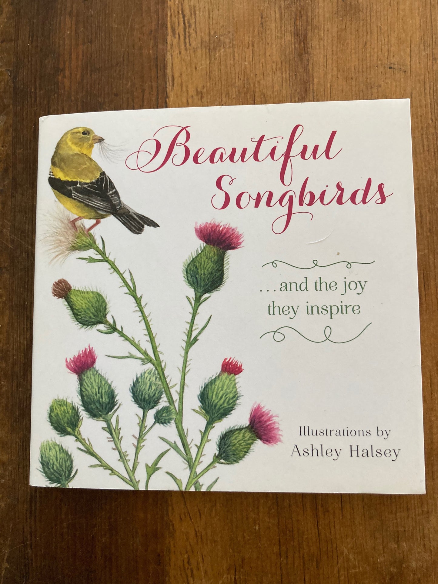 Educational Picture Book - BEAUTIFUL SONGBIRDS