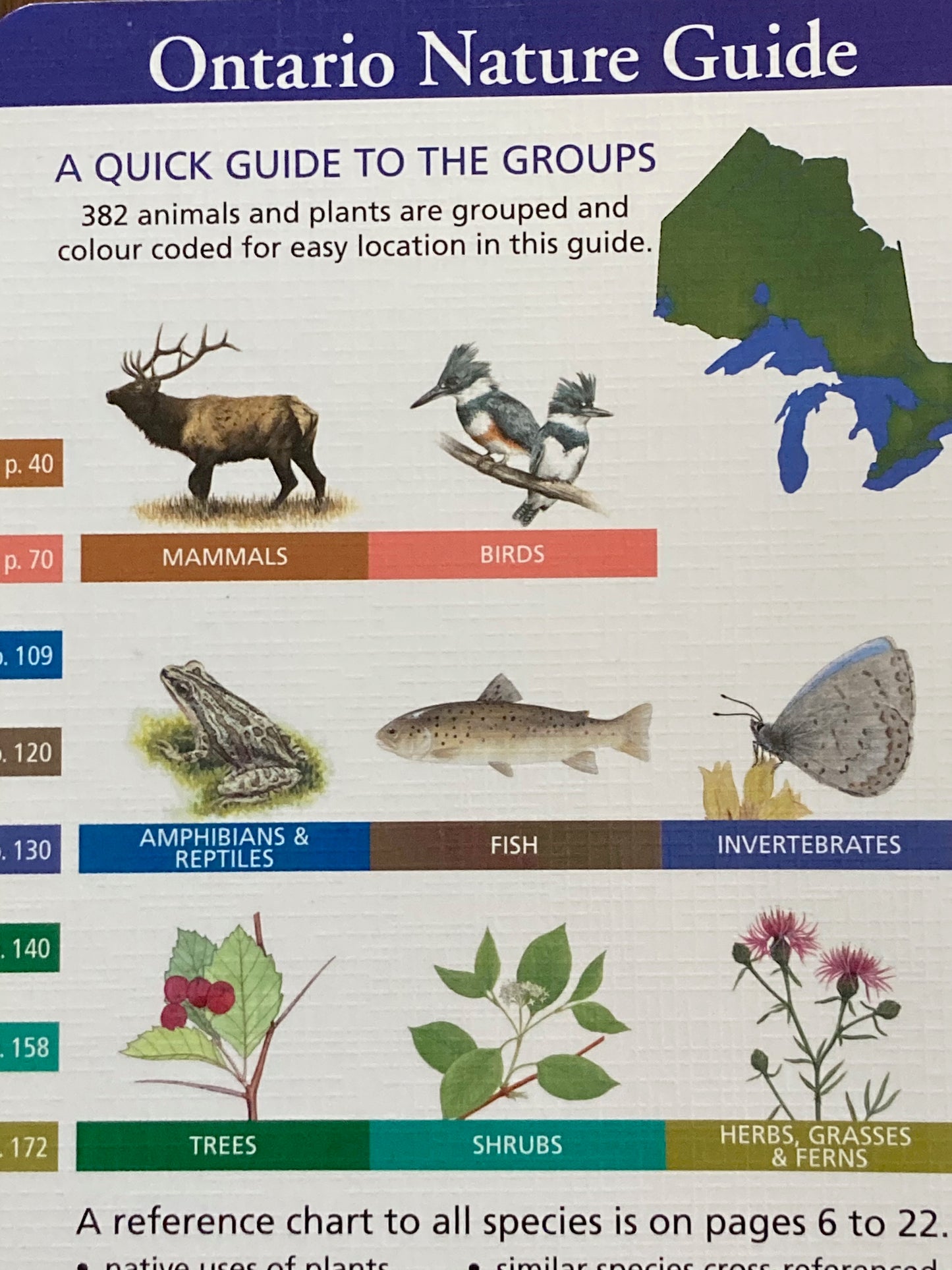 Educational Reference Book - ONTARIO NATURE GUIDE