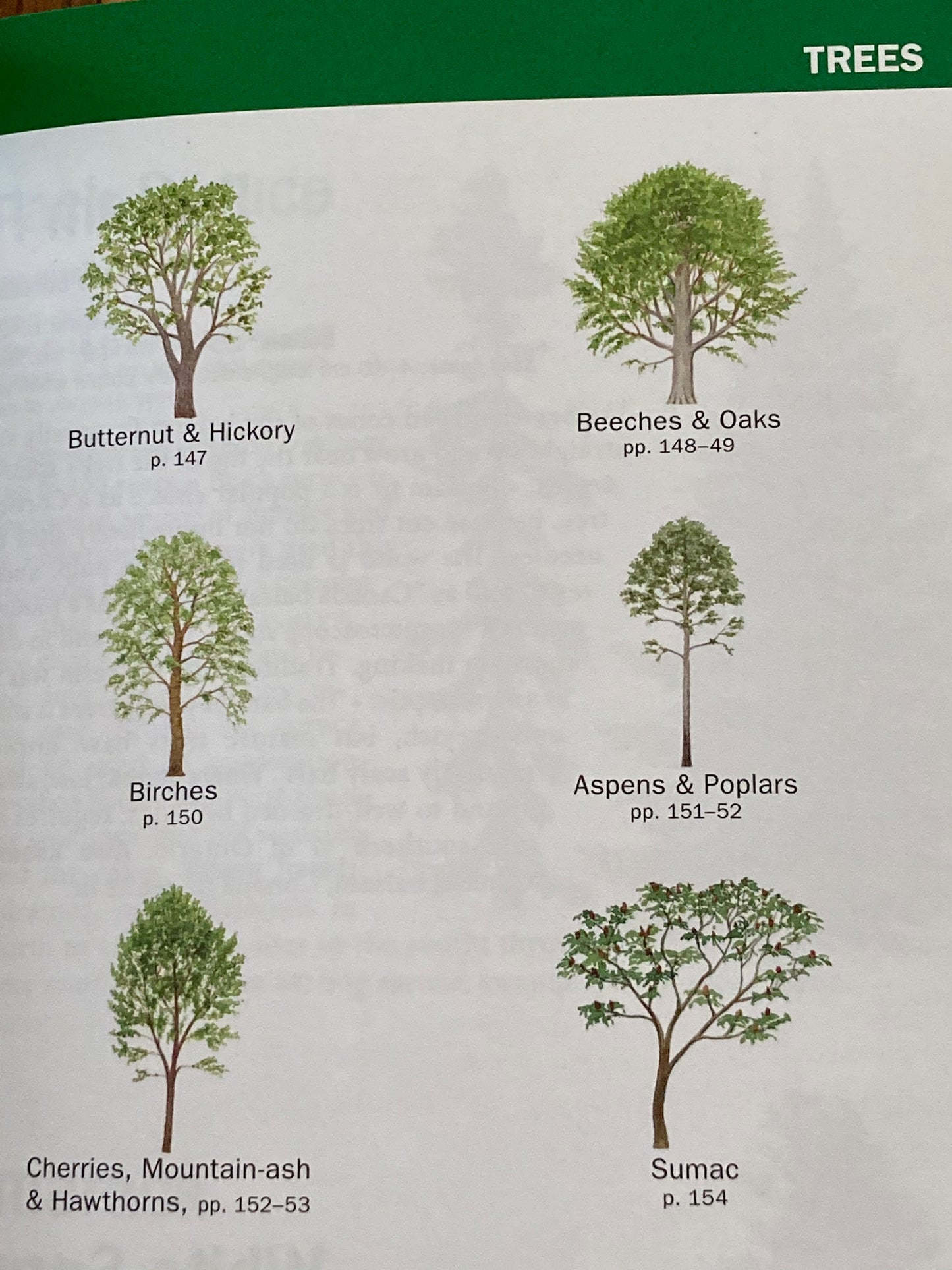 Ouvrage de référence pédagogique - GUIDE DE LA NATURE DE L'ONTARIO