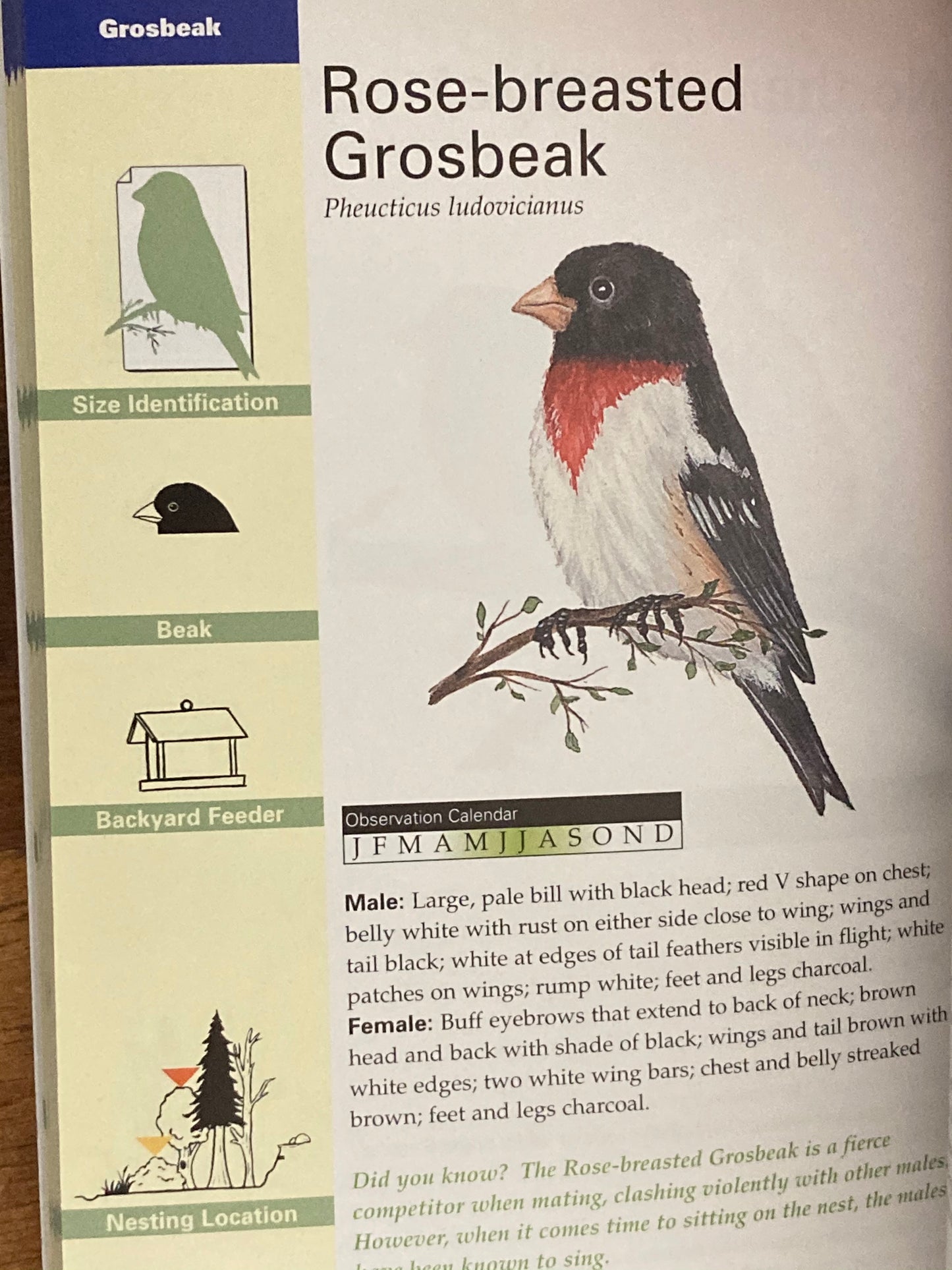Educational Reference Book - TORONTO BIRDS