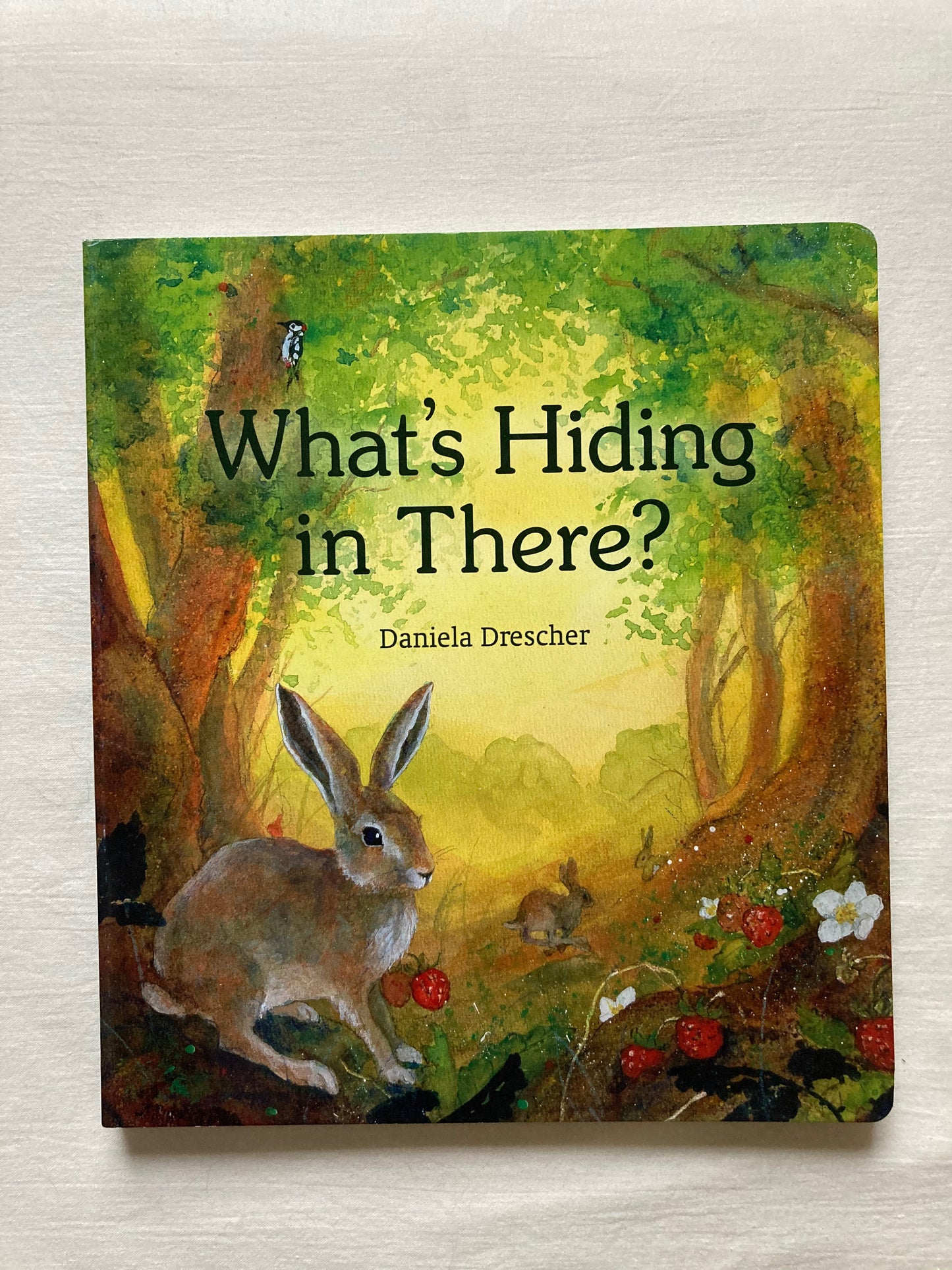 Board Picture Book, Baby - WHAT'S HIDING IN THERE? (a lift-the-flaps book)