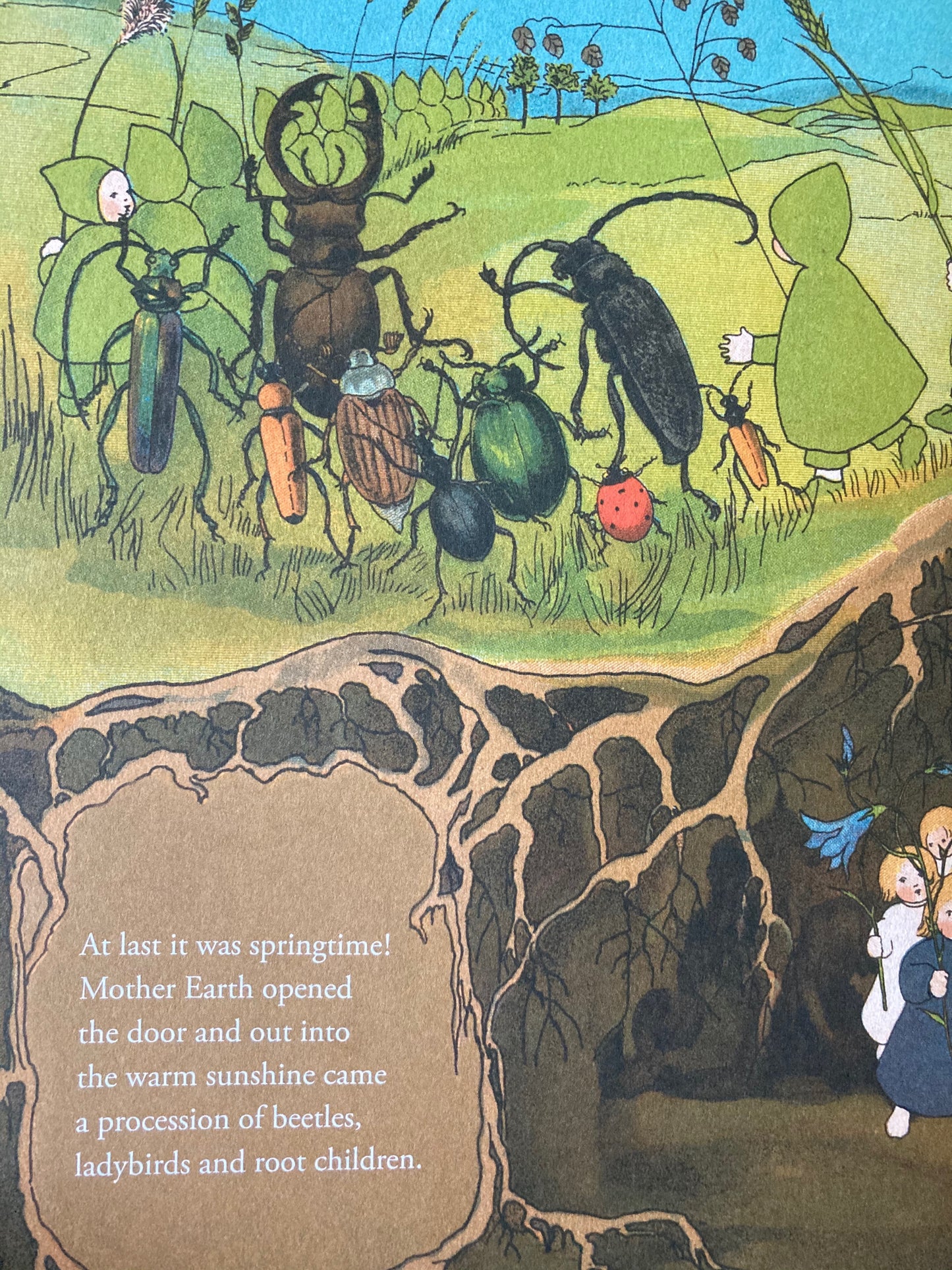 Children's Picture Book - THE STORY OF THE ROOT CHILDREN