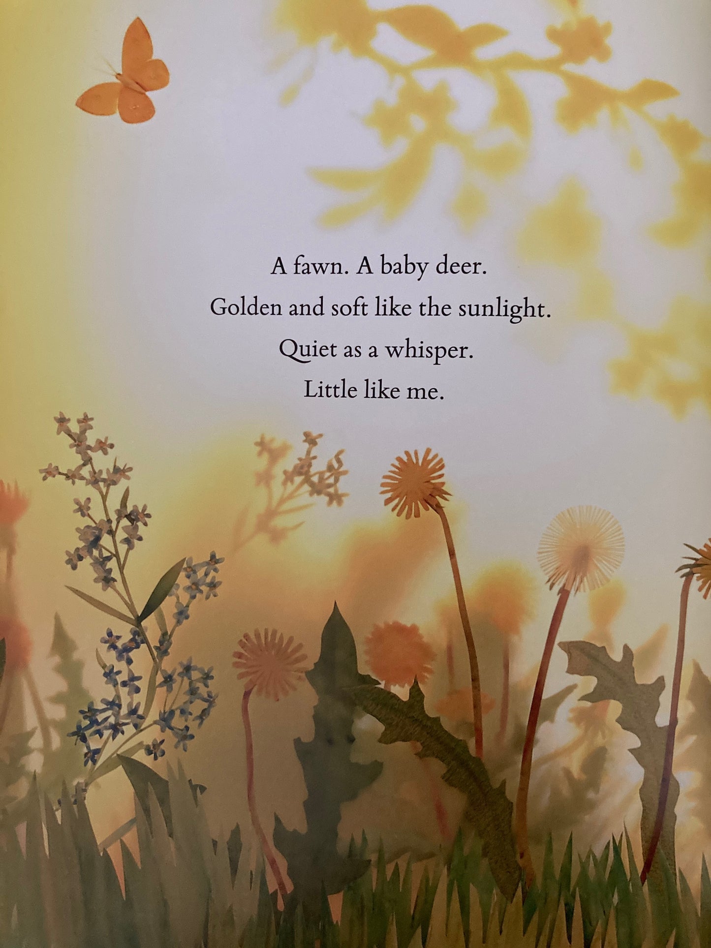 Children’s Picture Book - THE SECRET FAWN