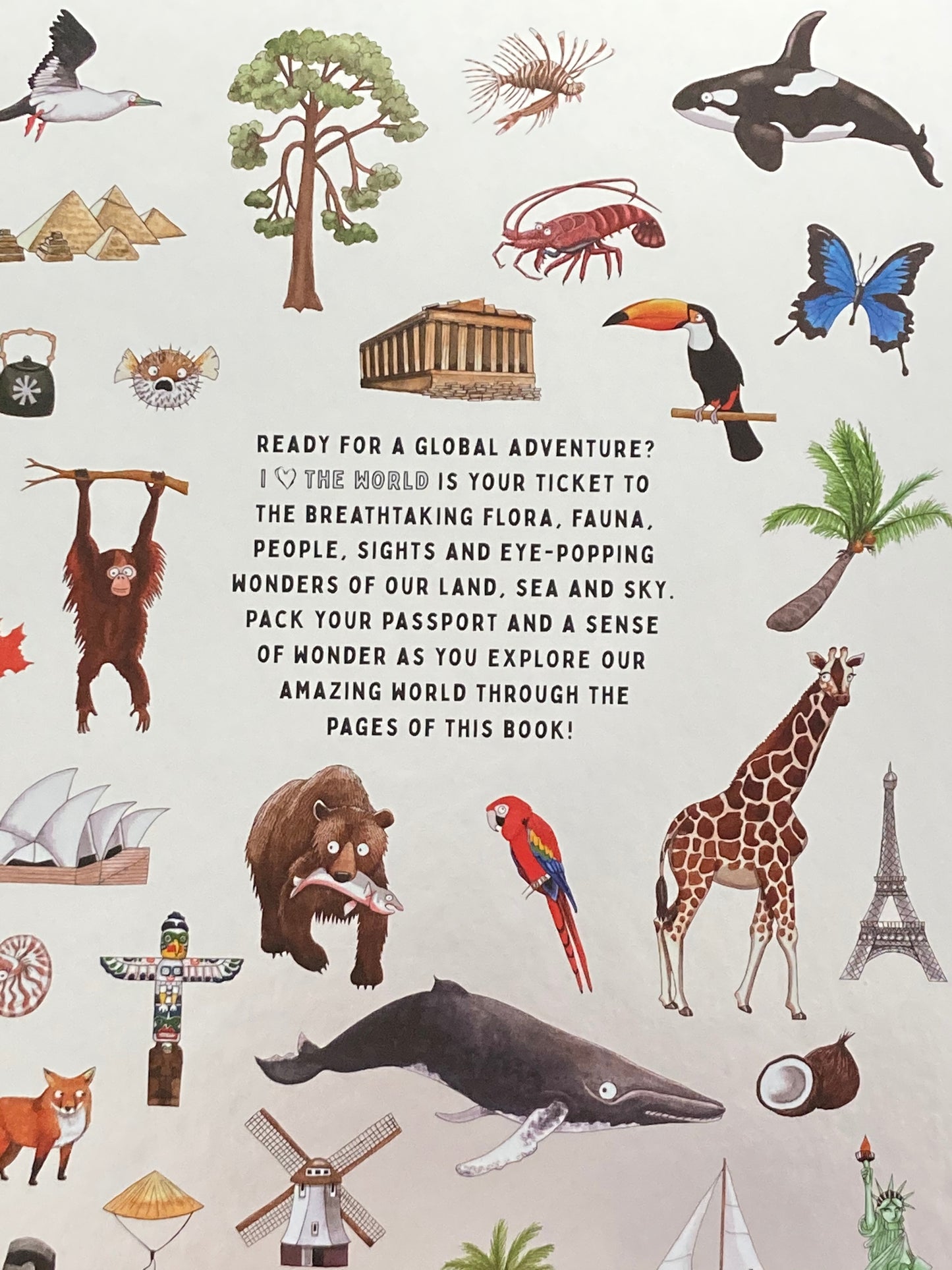 Educational Resource Picture Book- I LOVE THE WORLD