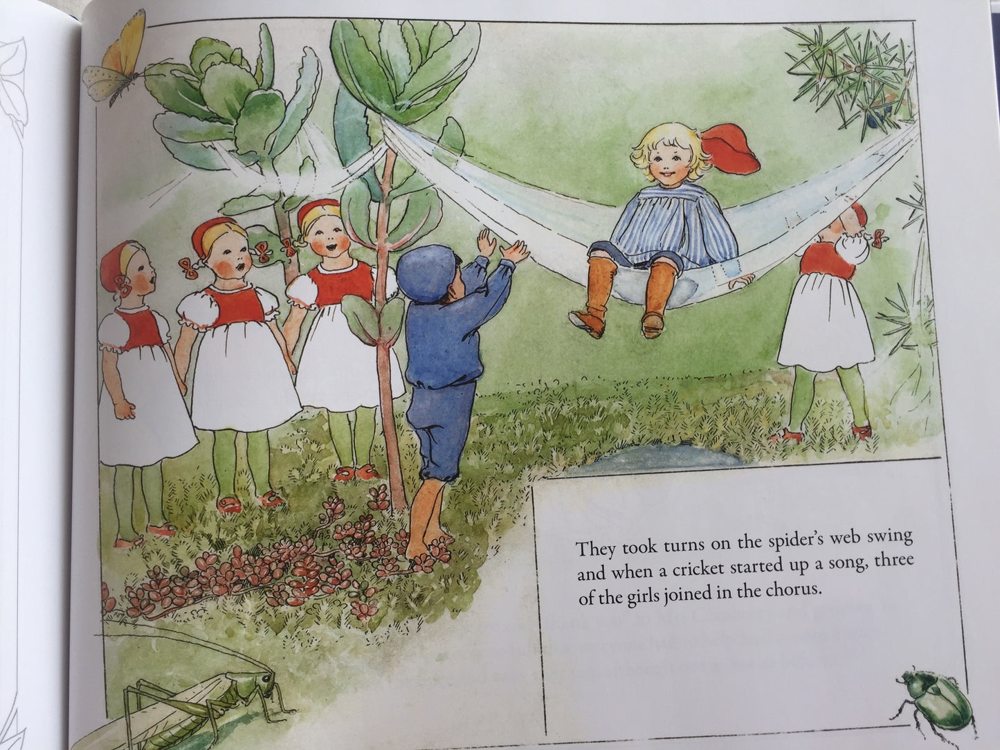 Children's Picture Book - PETER IN BLUEBERRY LAND