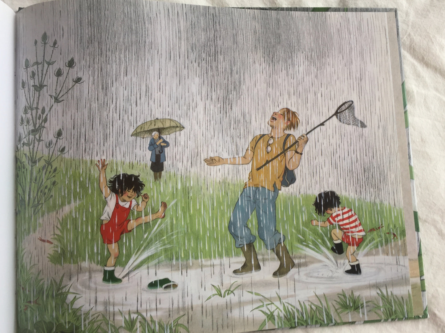 Children's Picture Book - WHERE DO THEY GO WHEN IT RAINS?