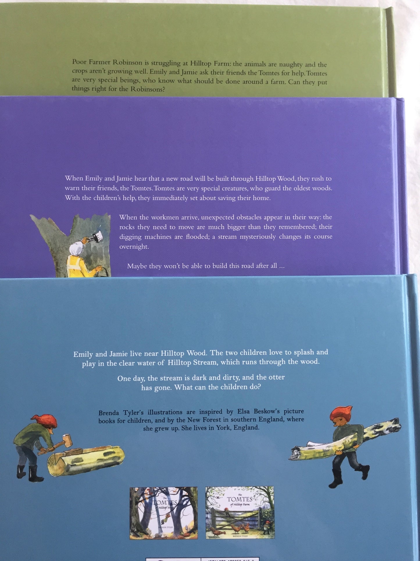 Children's Picture Book - The TOMTES OF HILLTOP WOOD Series (3 Titles)