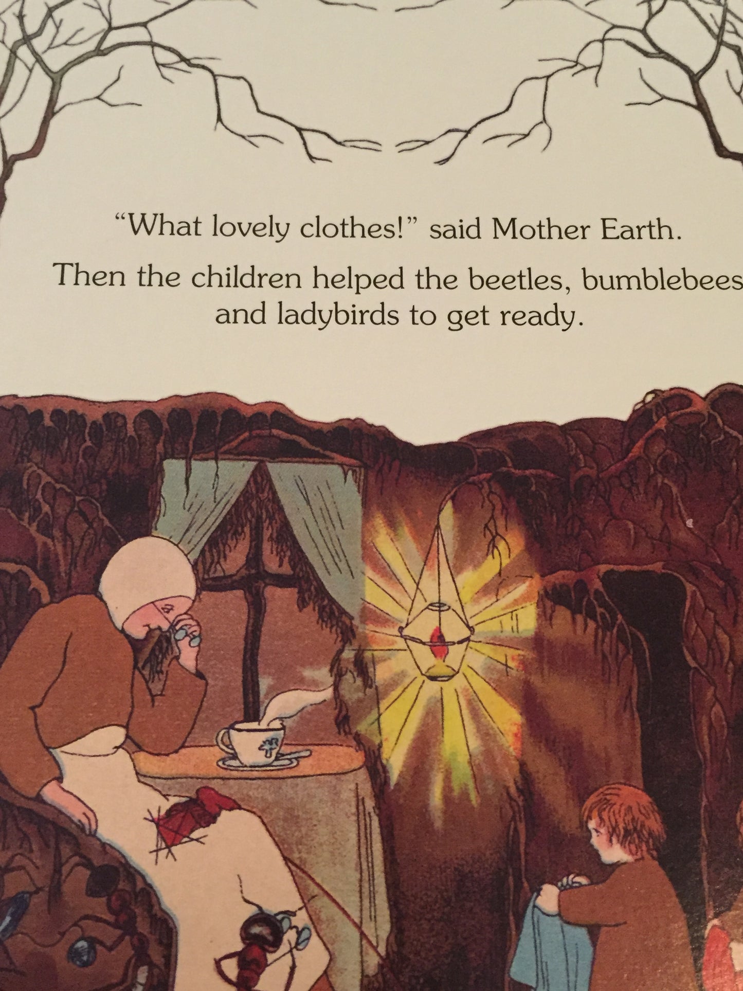 Board Book, Baby - MY FIRST ROOT CHILDREN