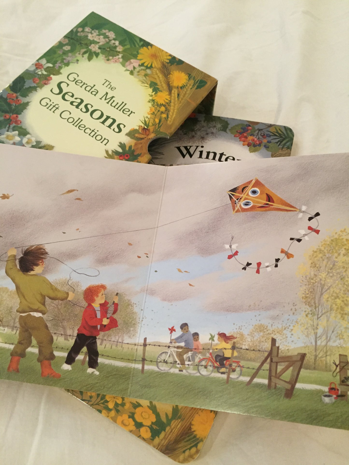 Board Book, Baby - SEASONS COLLECTION