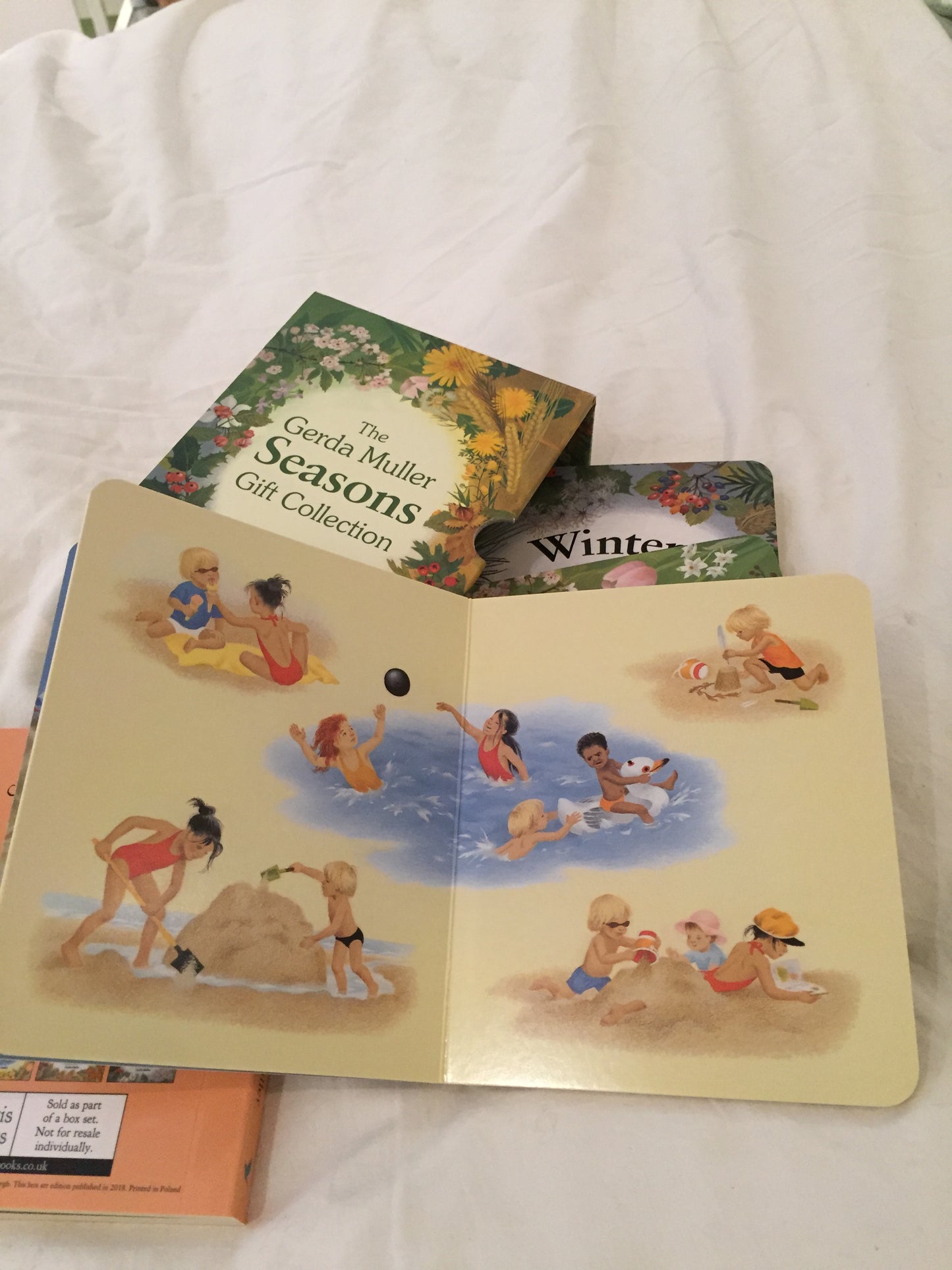 Board Book, Baby - SEASONS COLLECTION