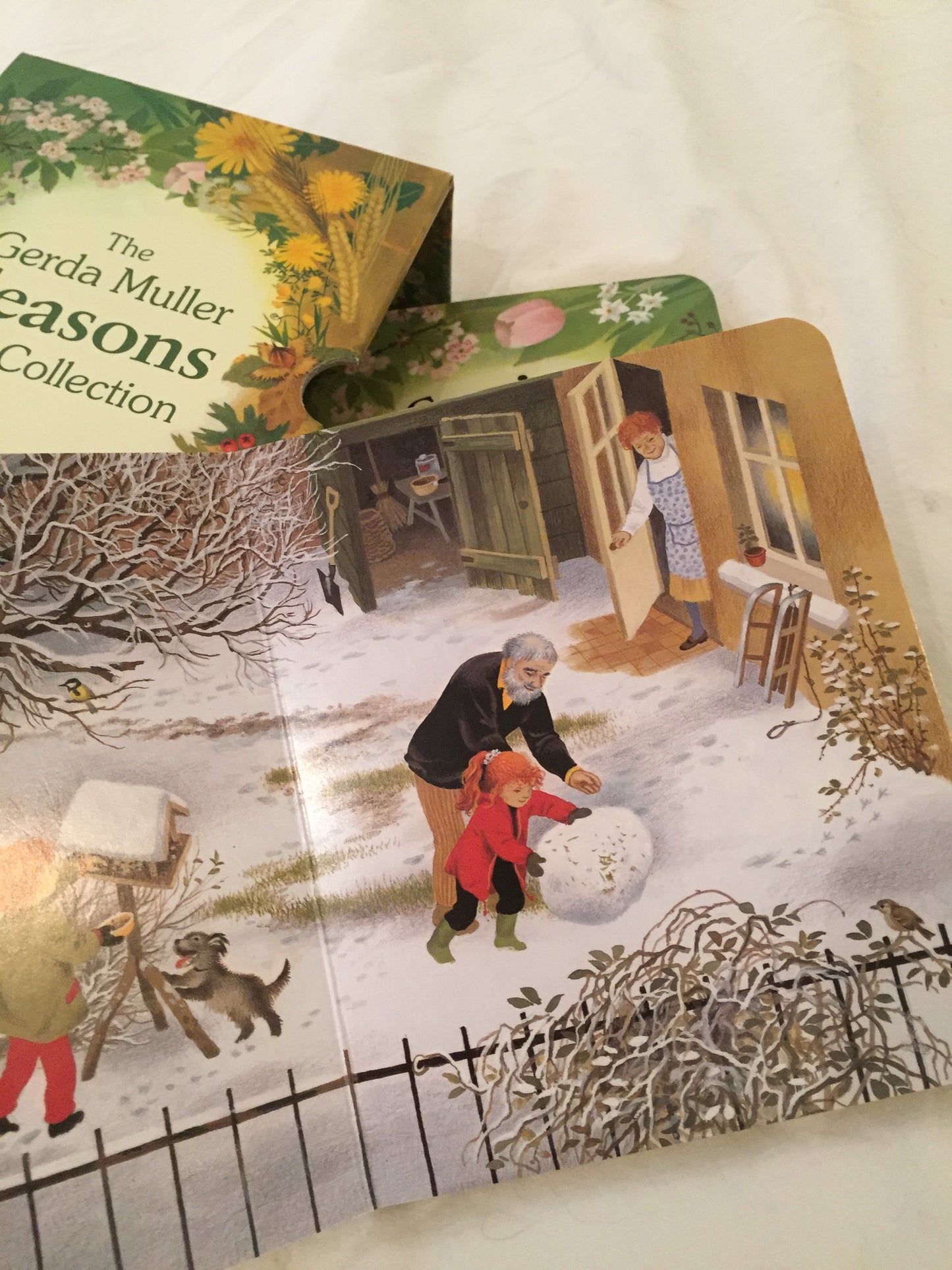 Board Book, Baby - SEASONS COLLECTION
