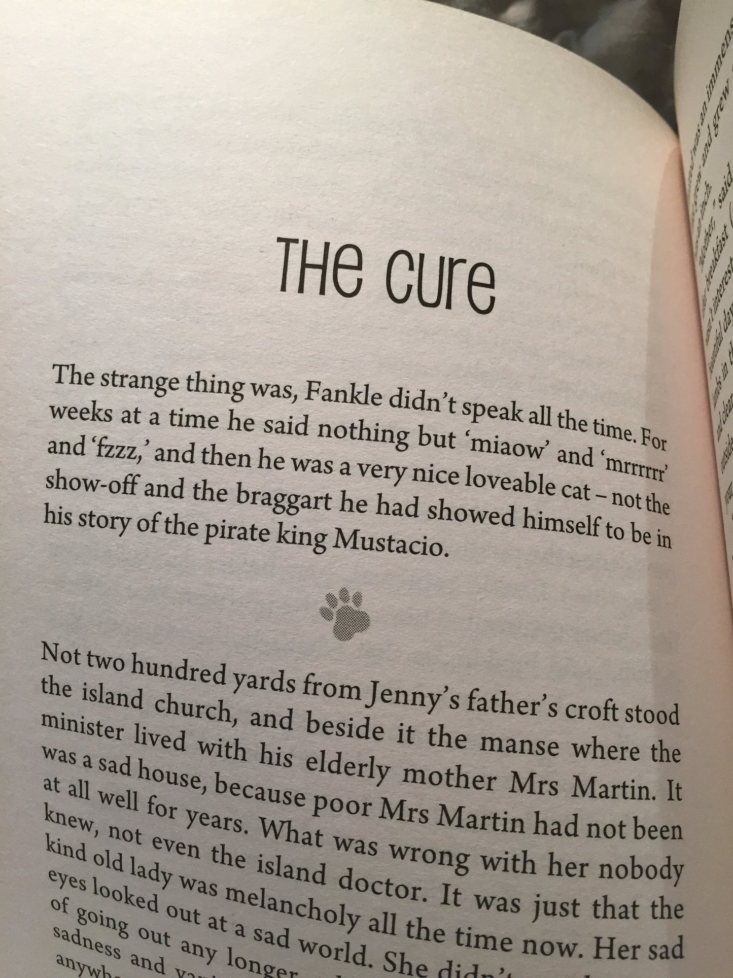 Chapter Books for Older Readers - SIX LIVES OF FANKLE THE CAT