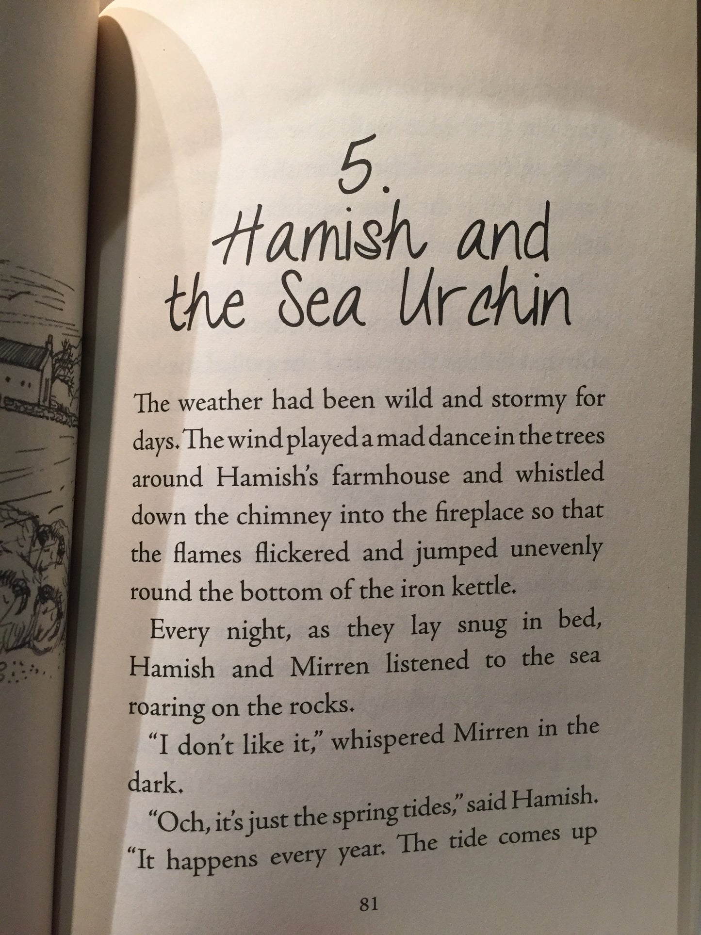 Chapter Book for Young Readers - THE ADVENTURES OF HAMISH AND MIRREN