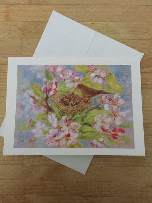 Greeting Cards/ Spring - APPLE BLOSSOMS AND ROBIN'S NEST