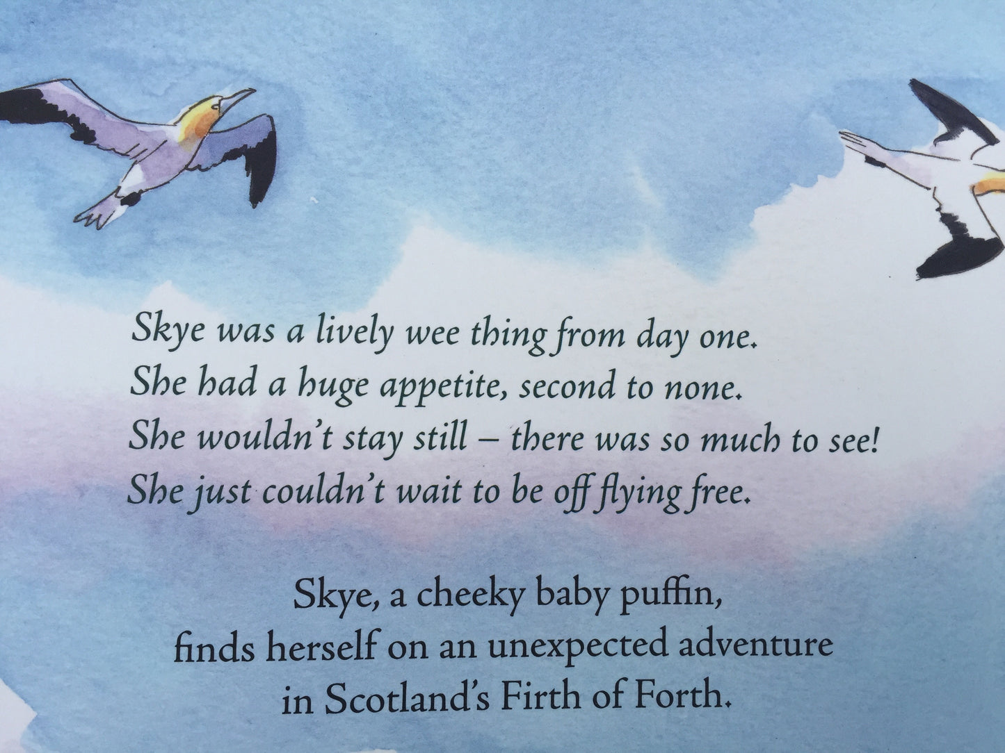 Livre d'images pour enfants - SKYE THE PUFFLING