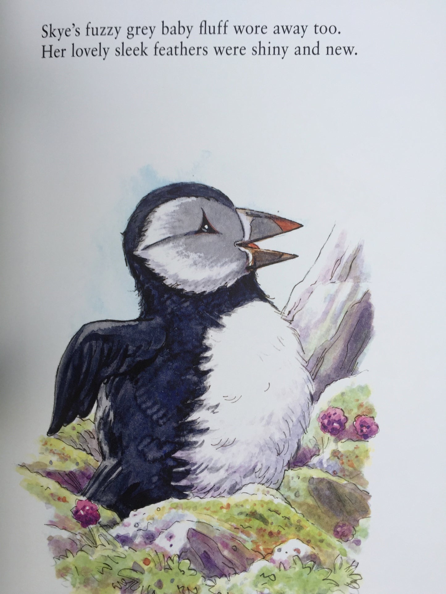 Livre d'images pour enfants - SKYE THE PUFFLING