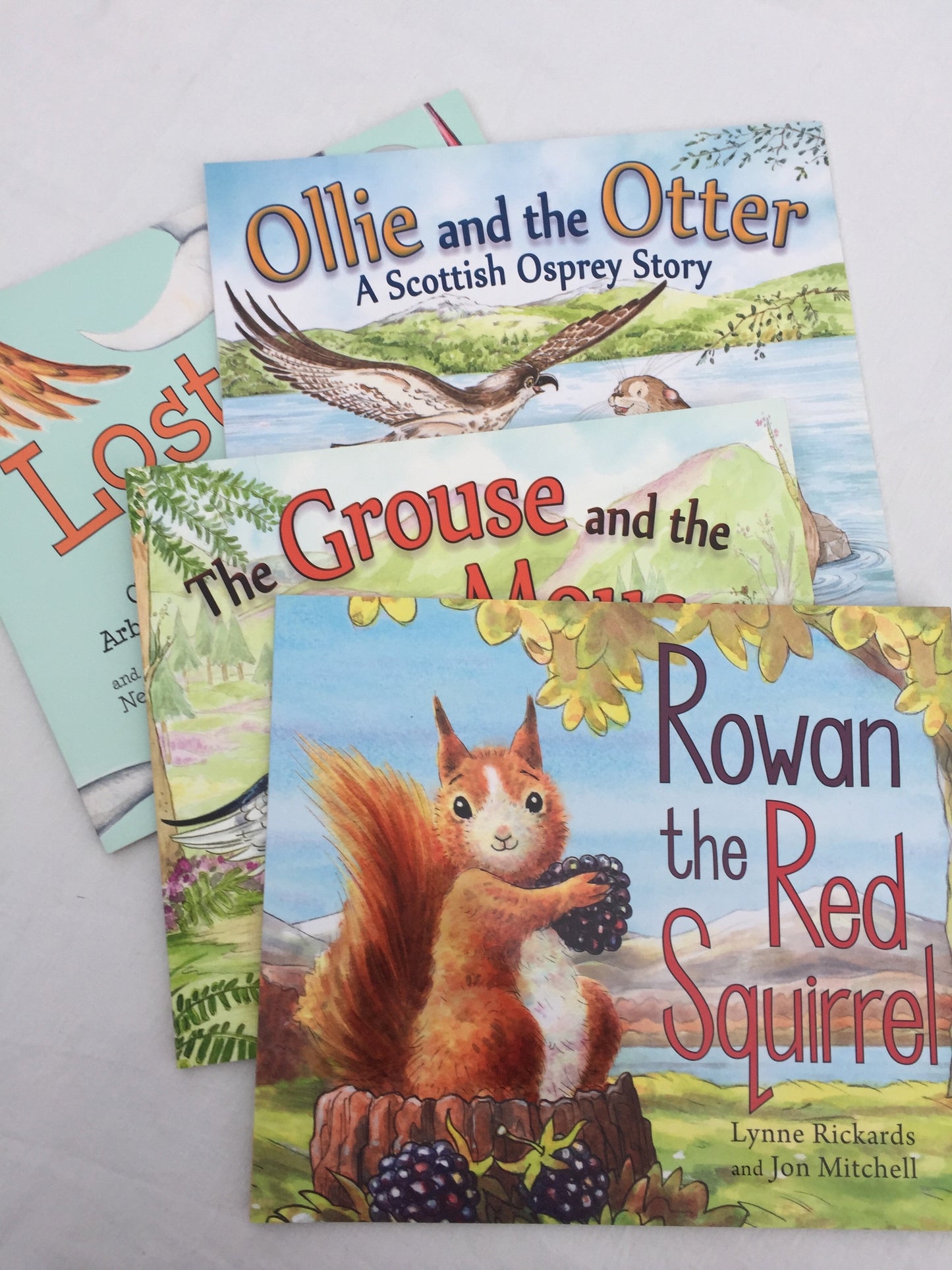 Children's Picture Book - OLLIE AND THE OTTER