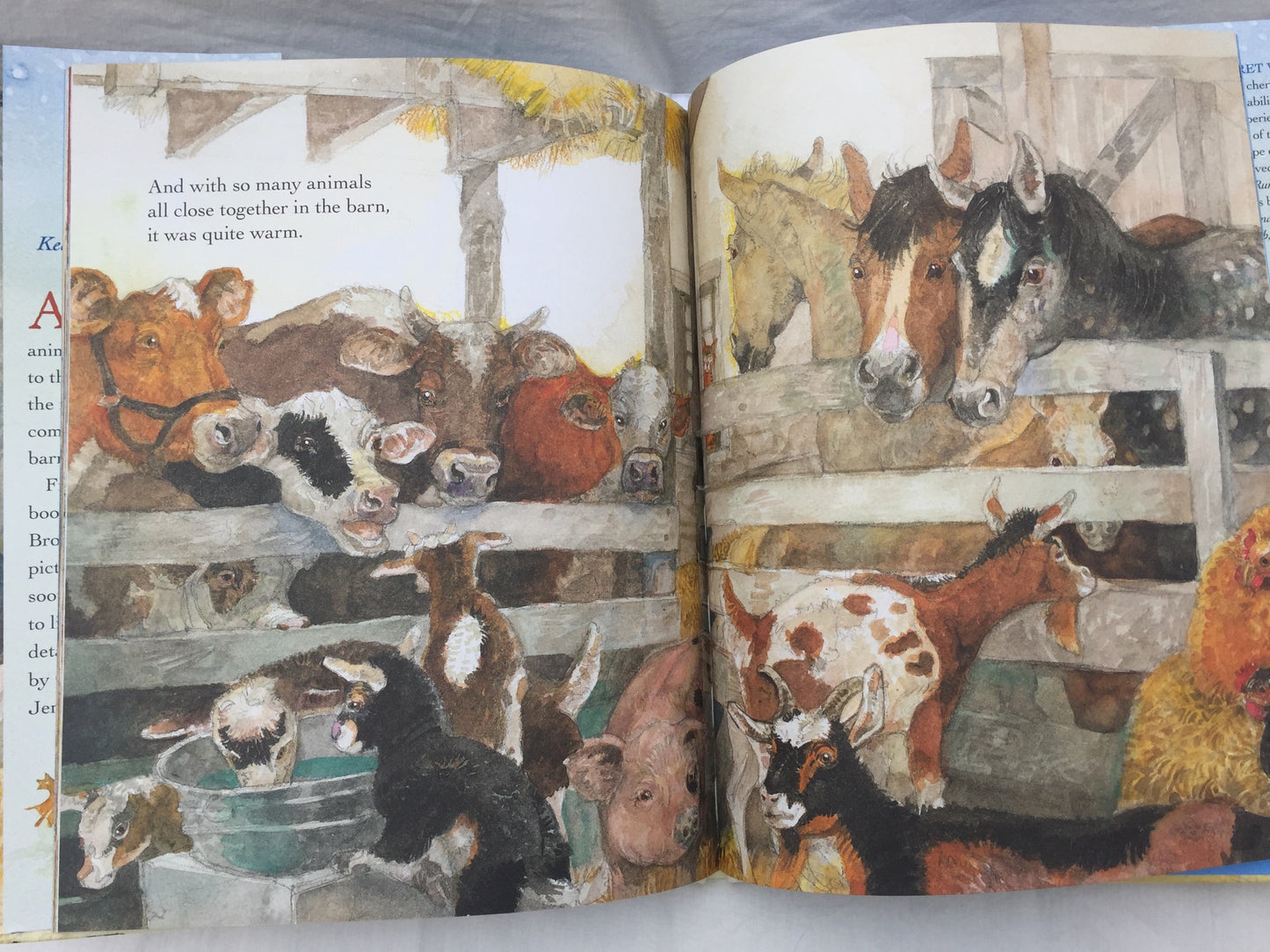 Children's Picture Book - A HOME IN THE BARN