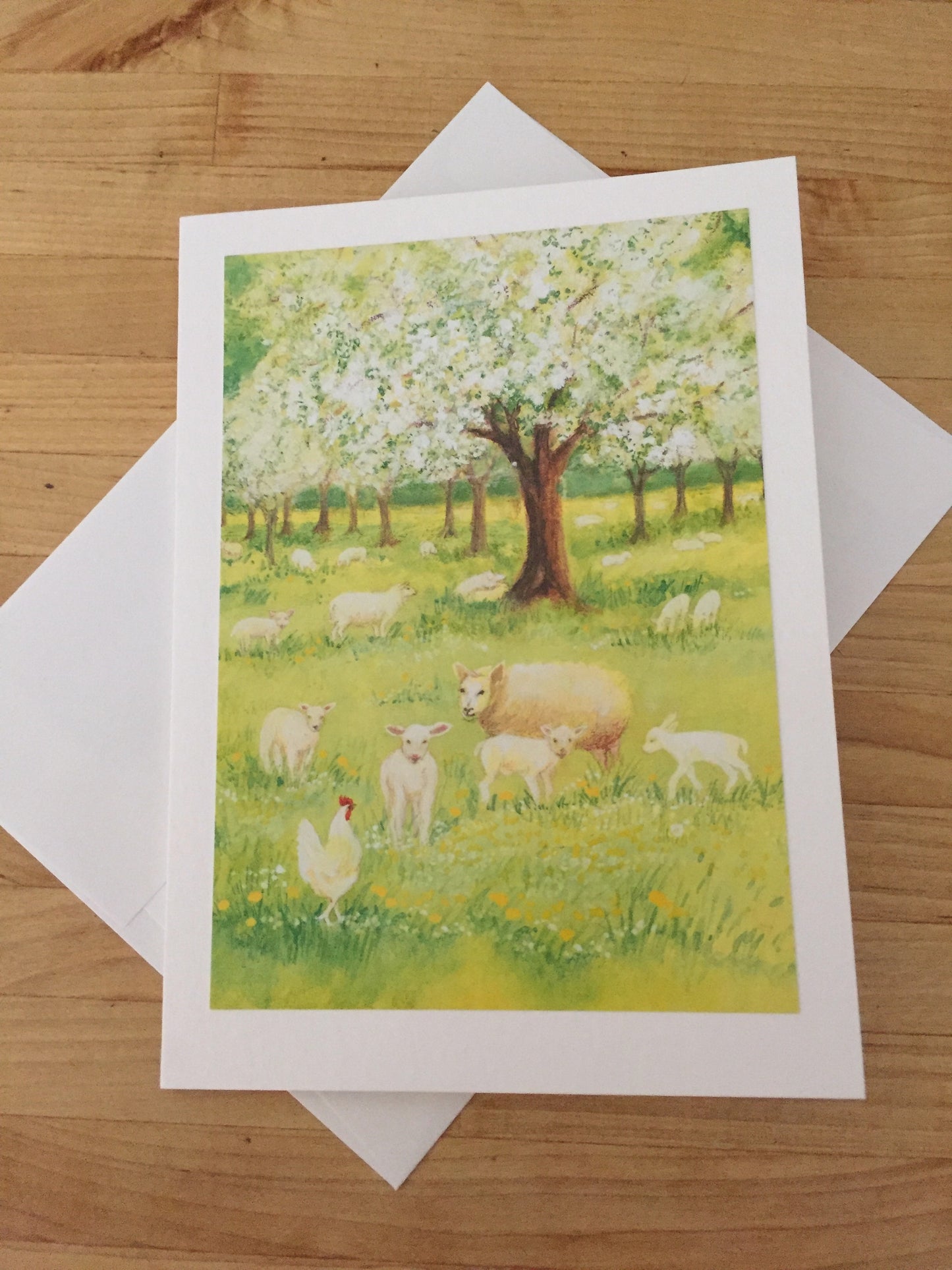 Greeting Cards/ Spring - LAMBS IN SPRING