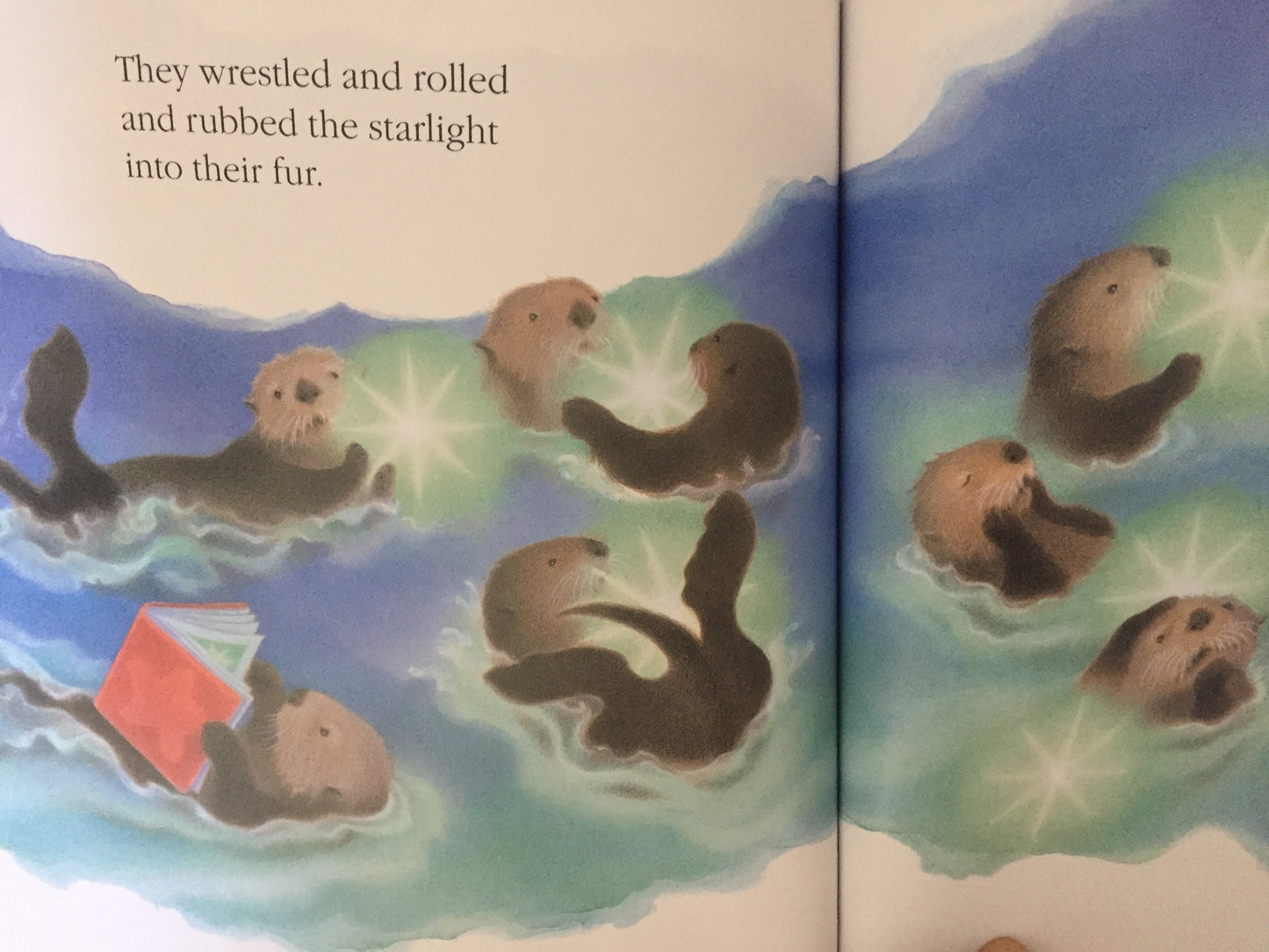 Children's Picture Book - A LOT OF OTTERS