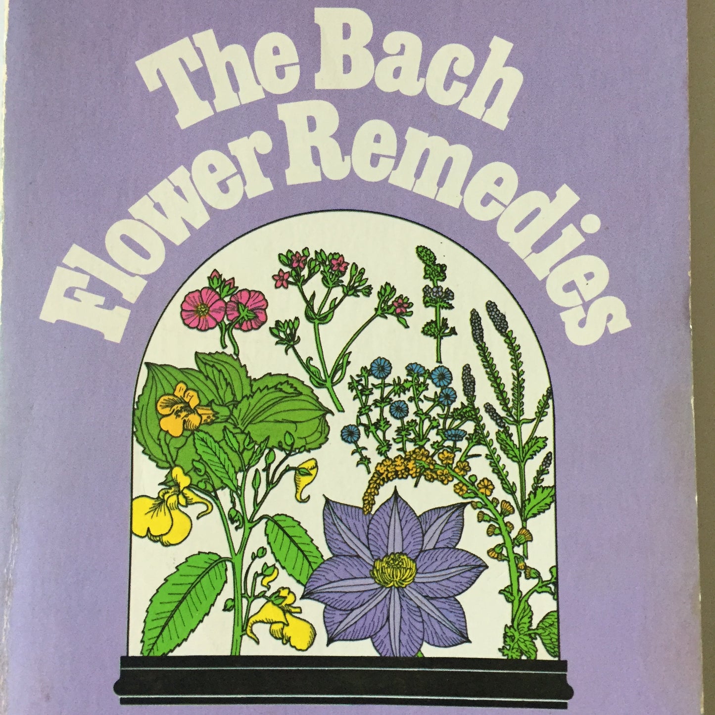 Bach Holistic Flower Remedies - OLIVE