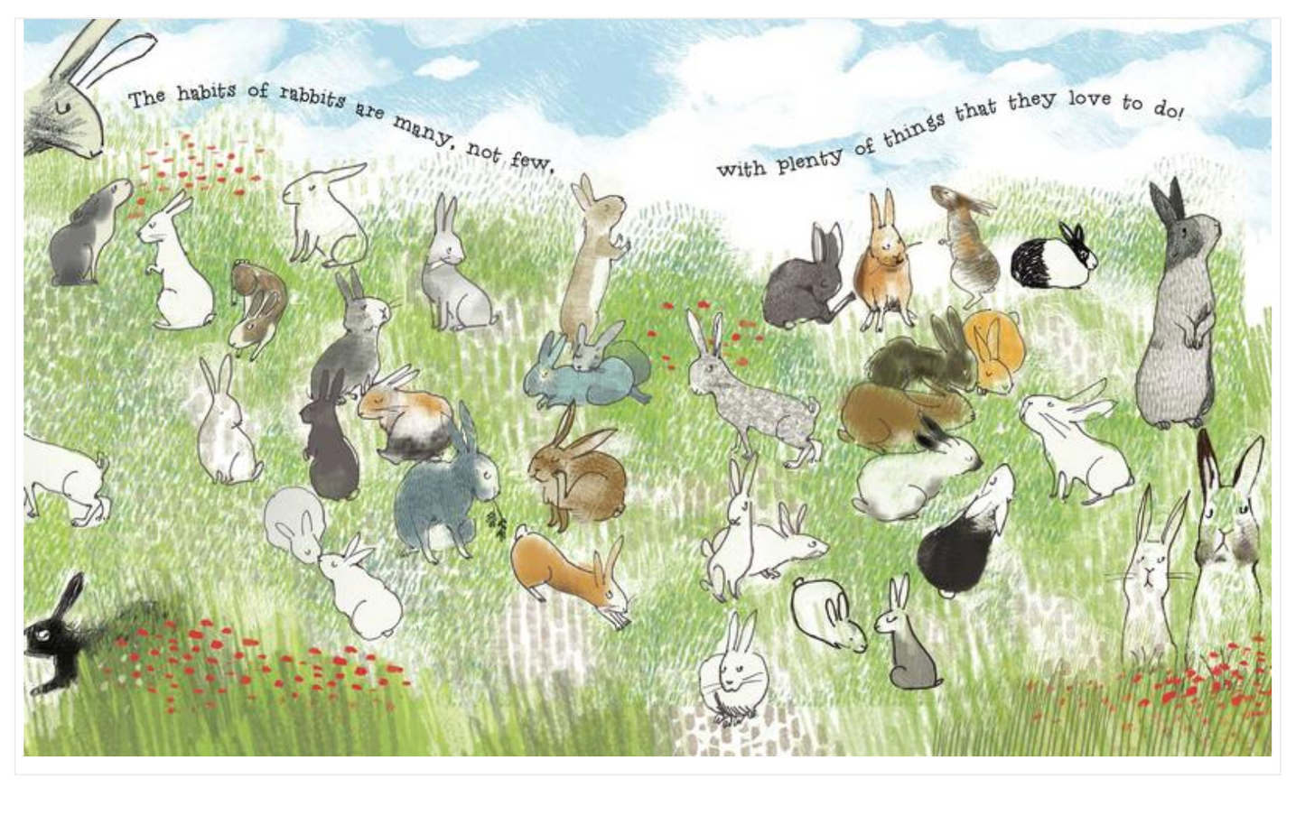 Board Book, Baby - THE WONDERFUL HABITS OF RABBITS
