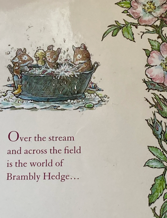 Children's Picture Book - SUMMER STORY of THE MICE OF BRAMBLY HEDGE