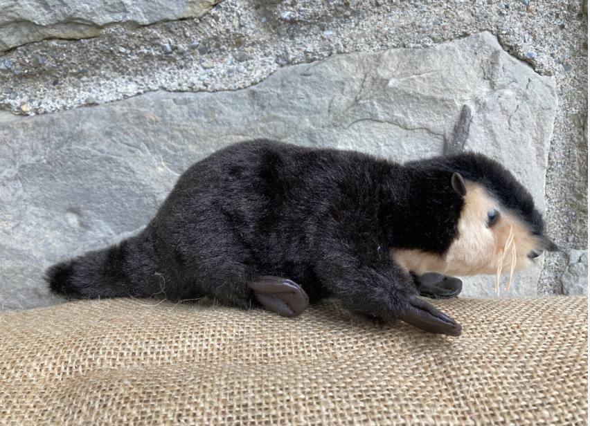 Ensemble de mini marionnettes douces - ANIMAUX SAUVAGES des PRAIRIES