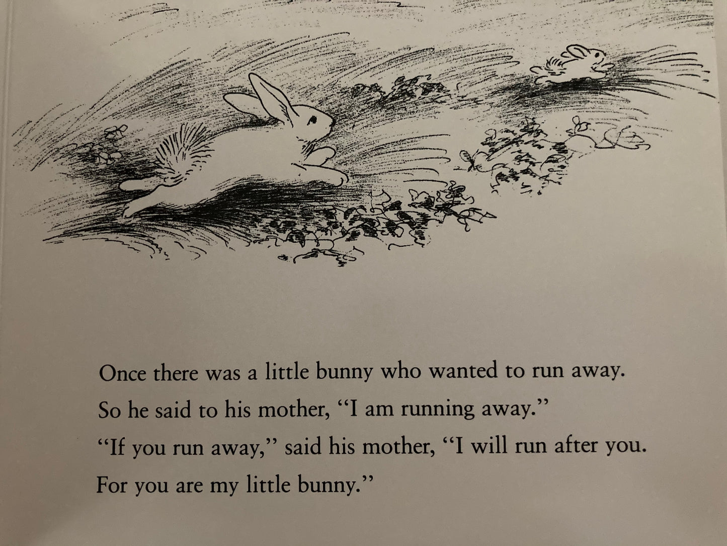 Board  Book, Baby - THE RUNAWAY BUNNY