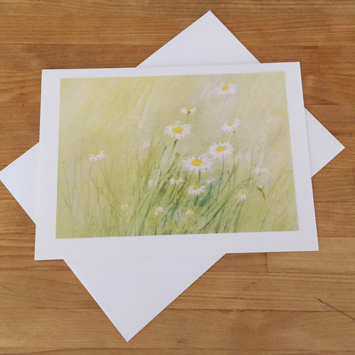 Greeting Cards/ Summer - DAISIES