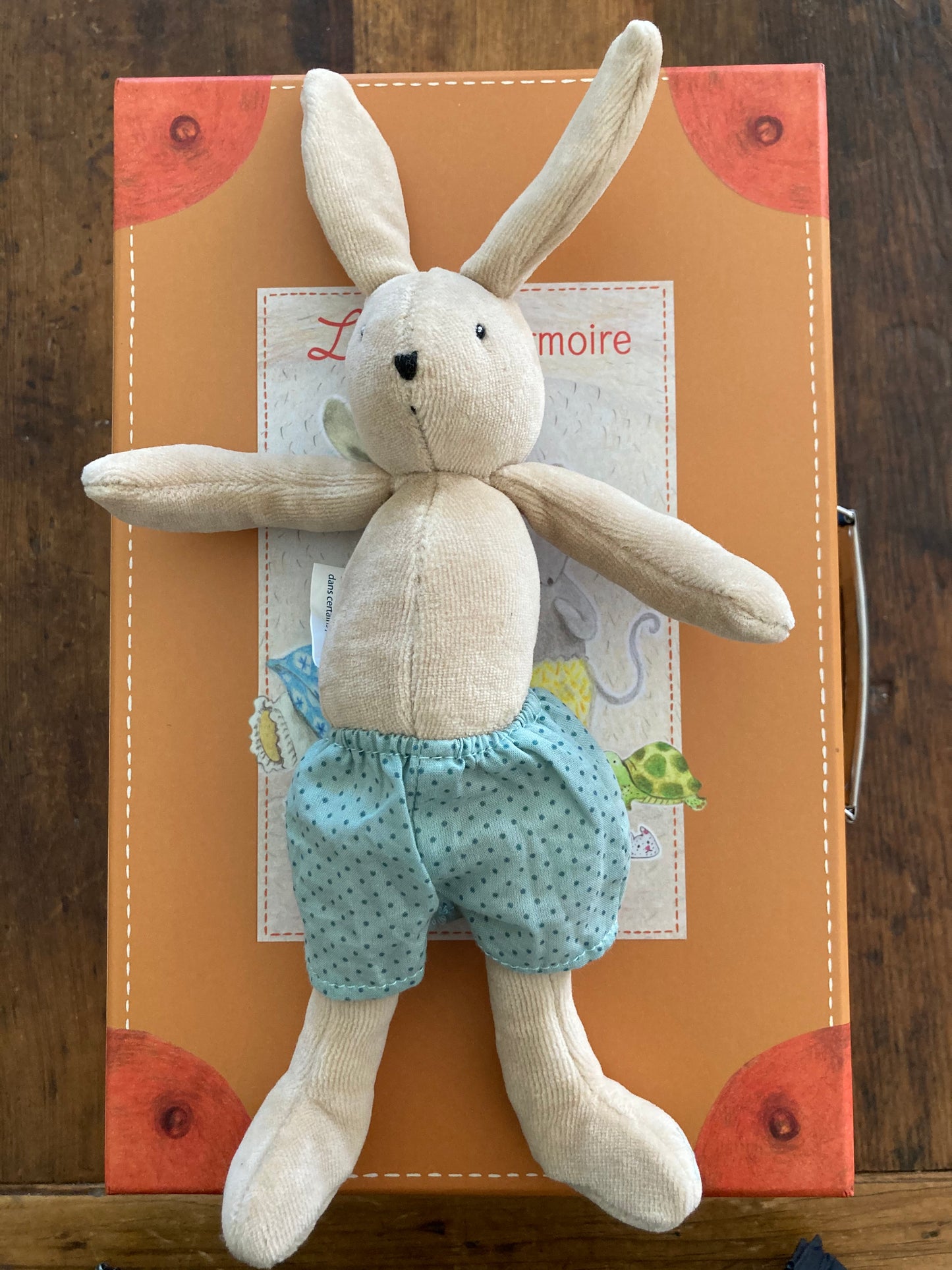 Soft Doll - POUPÉES SOURIS et LAPIN... avec VÊTEMENTS et VALISE GARDROBE !