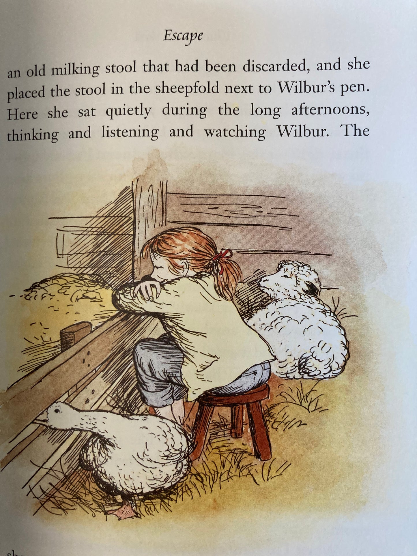 Chapter Book for Young Readers - CHARLOTTE'S WEB