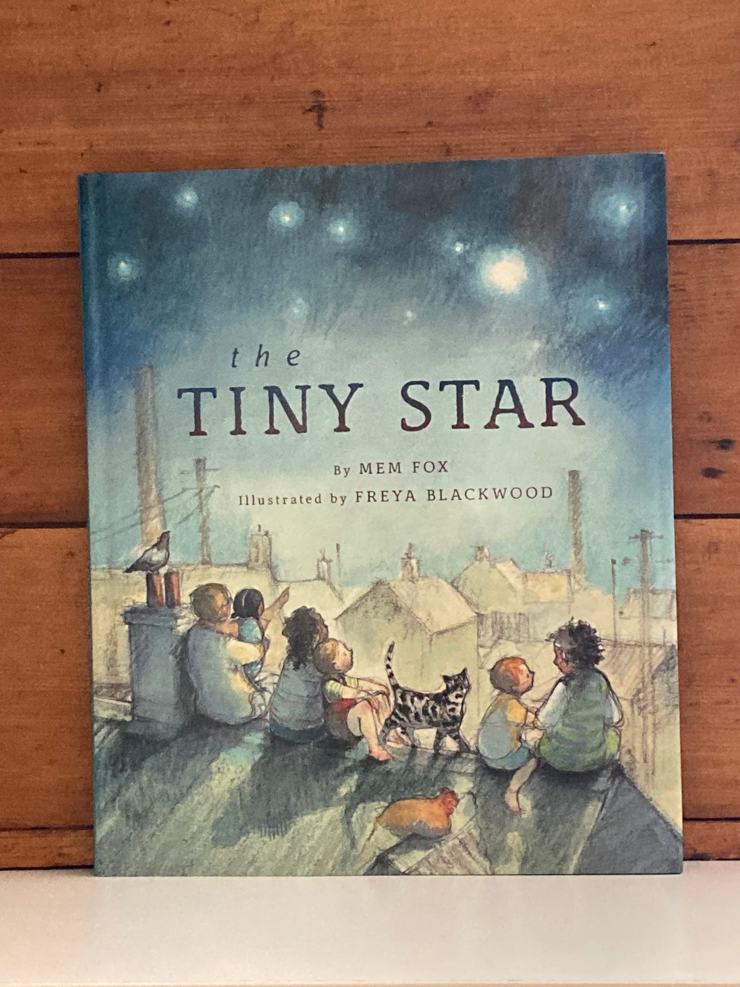 Children’s Picture Book - THE TINY STAR