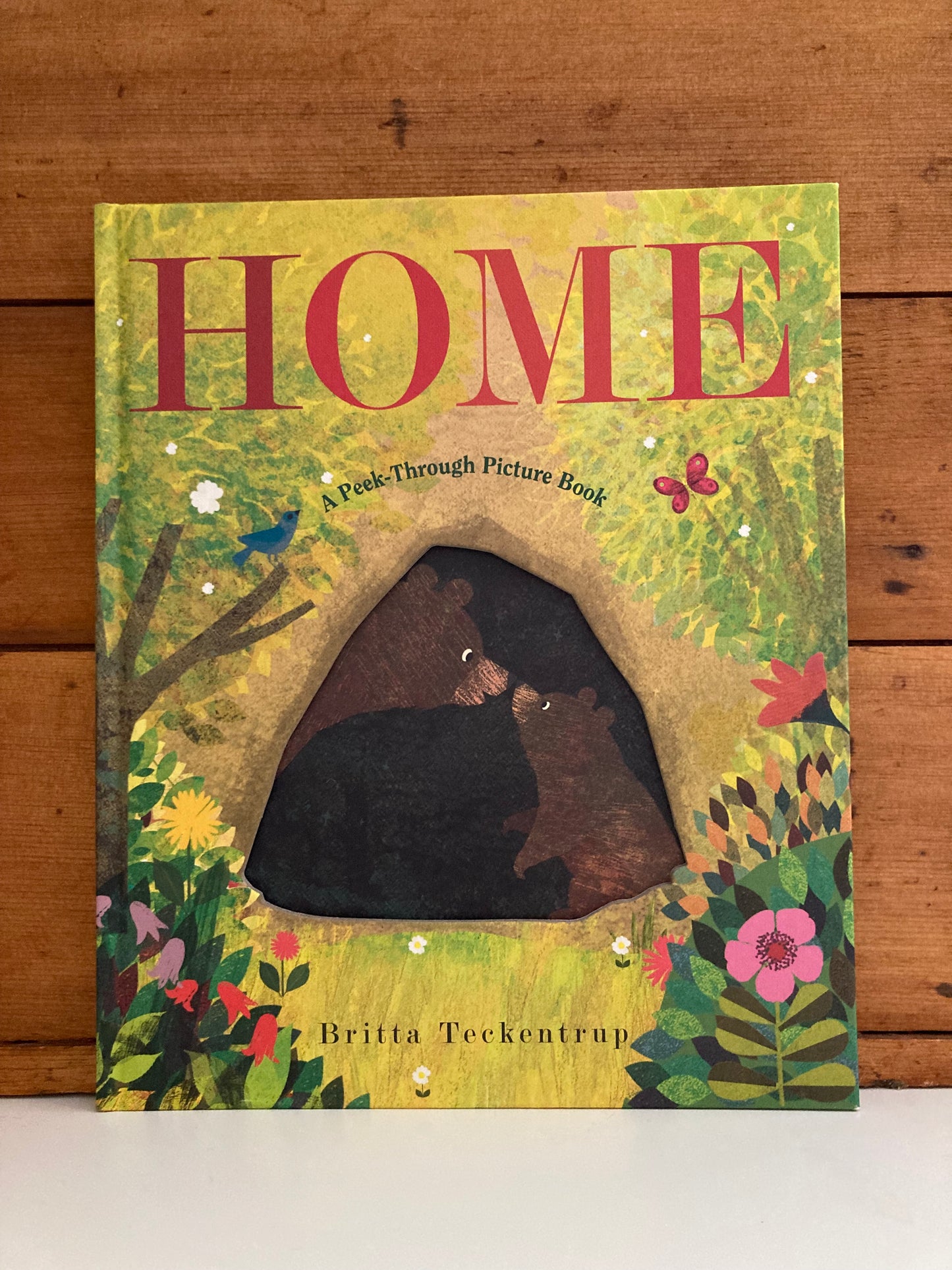 Children’s Picture Book - HOME (with peek-through cutouts!)