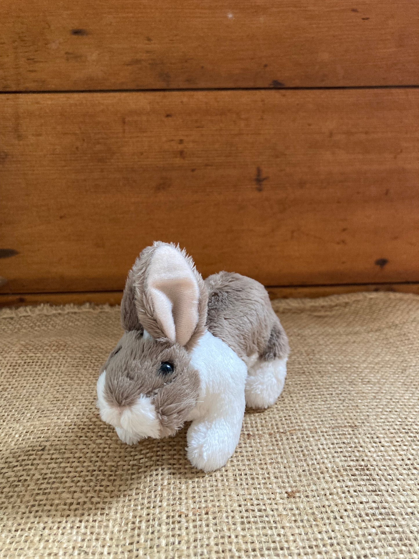 Marionnette à doigt en peluche - BABY BUNNY LAPIN