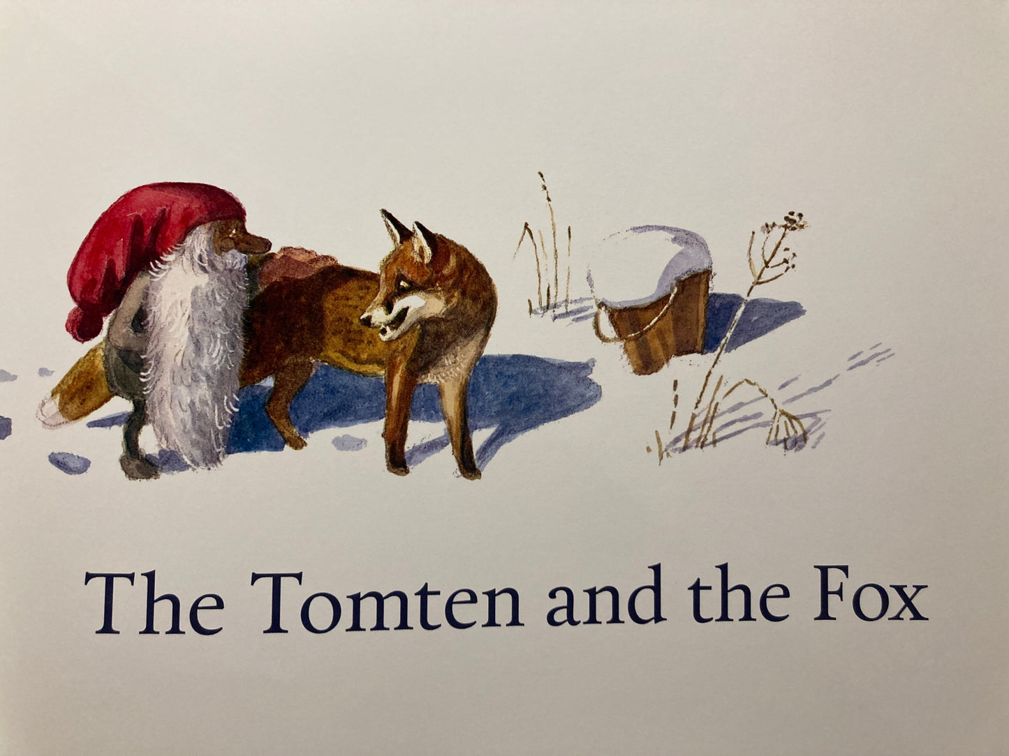 Children’s Picture Book - THE TOMTEN TALES