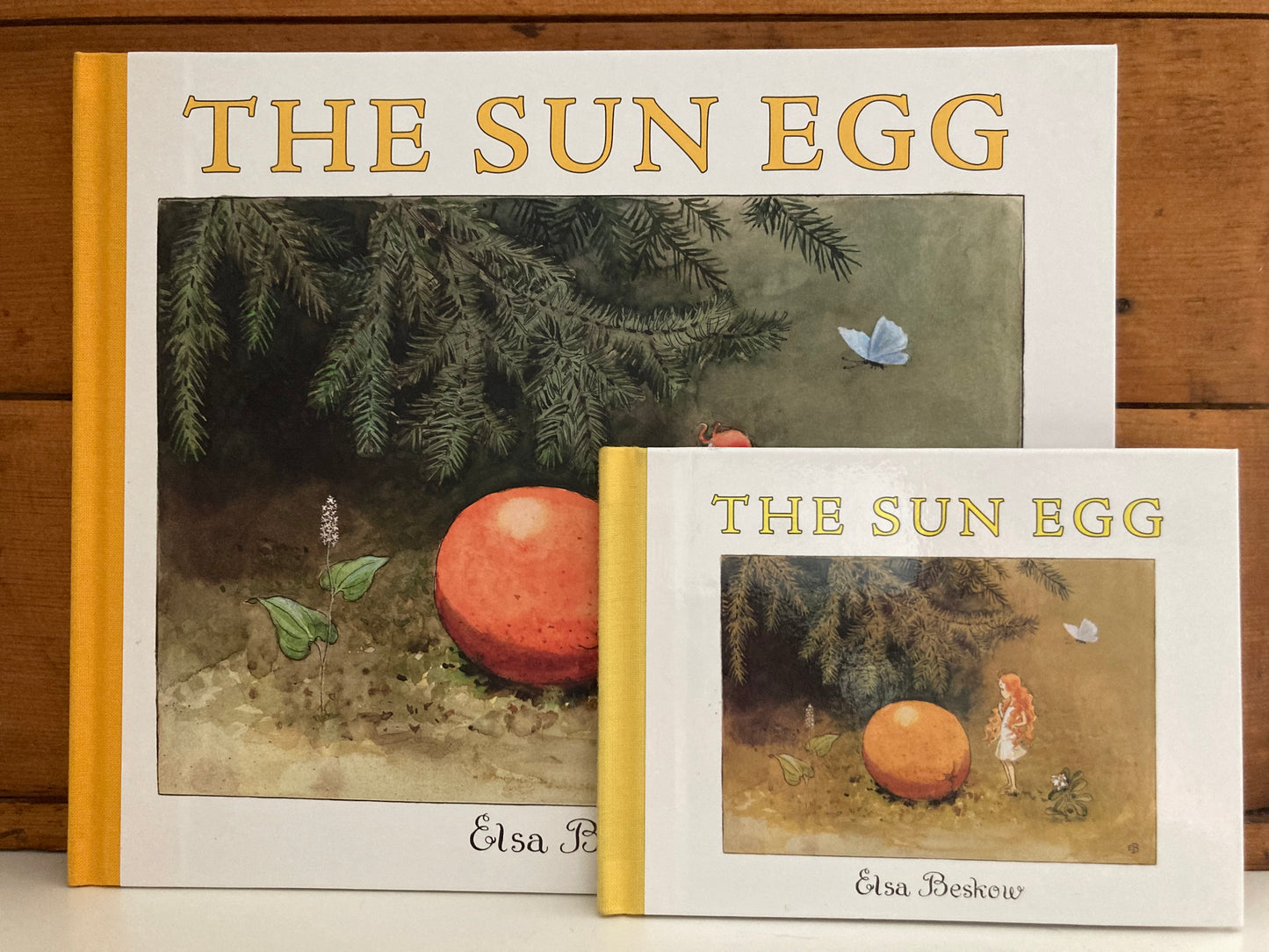 Children's Picture Book - THE SUN EGG