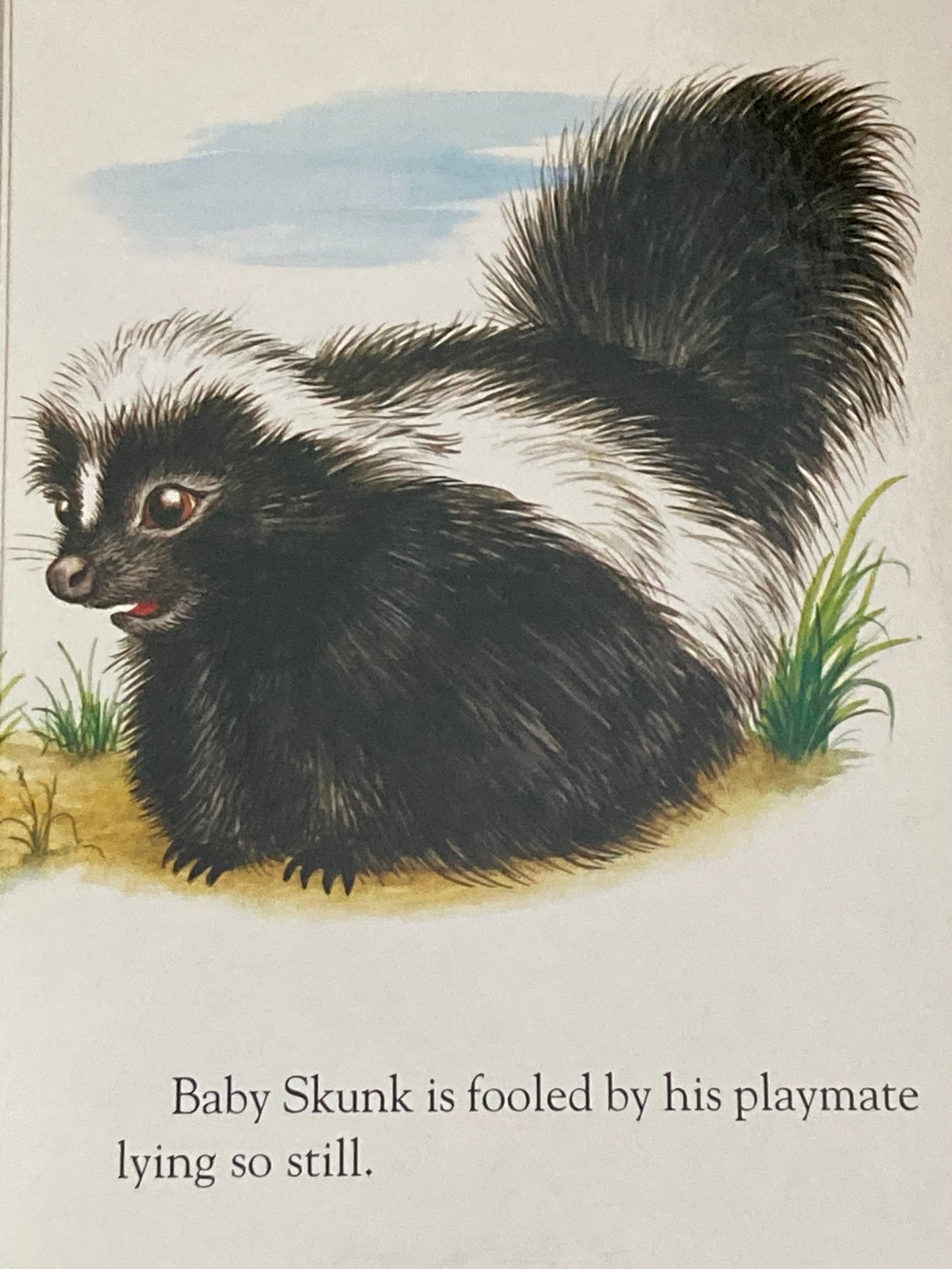 Board Book, Baby - BABY ANIMALS by Garth Williams