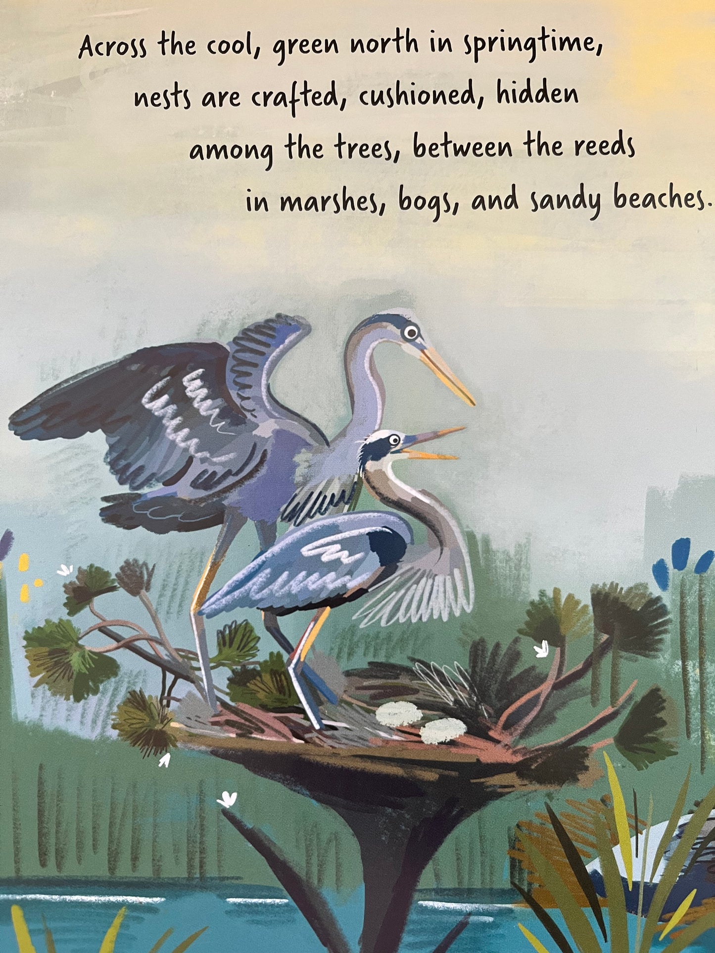 Educational Picture Book  - FOLLOW THE FLYWAY, The Marvel of Bird Migration