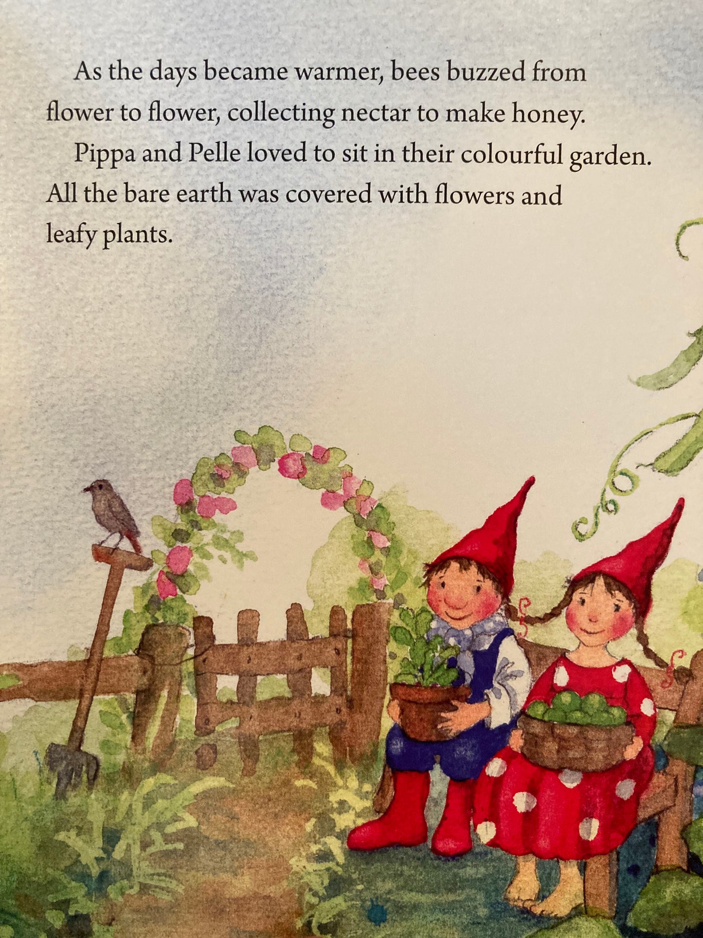 Board Book, Baby - PIPPA AND PELLA STORIES