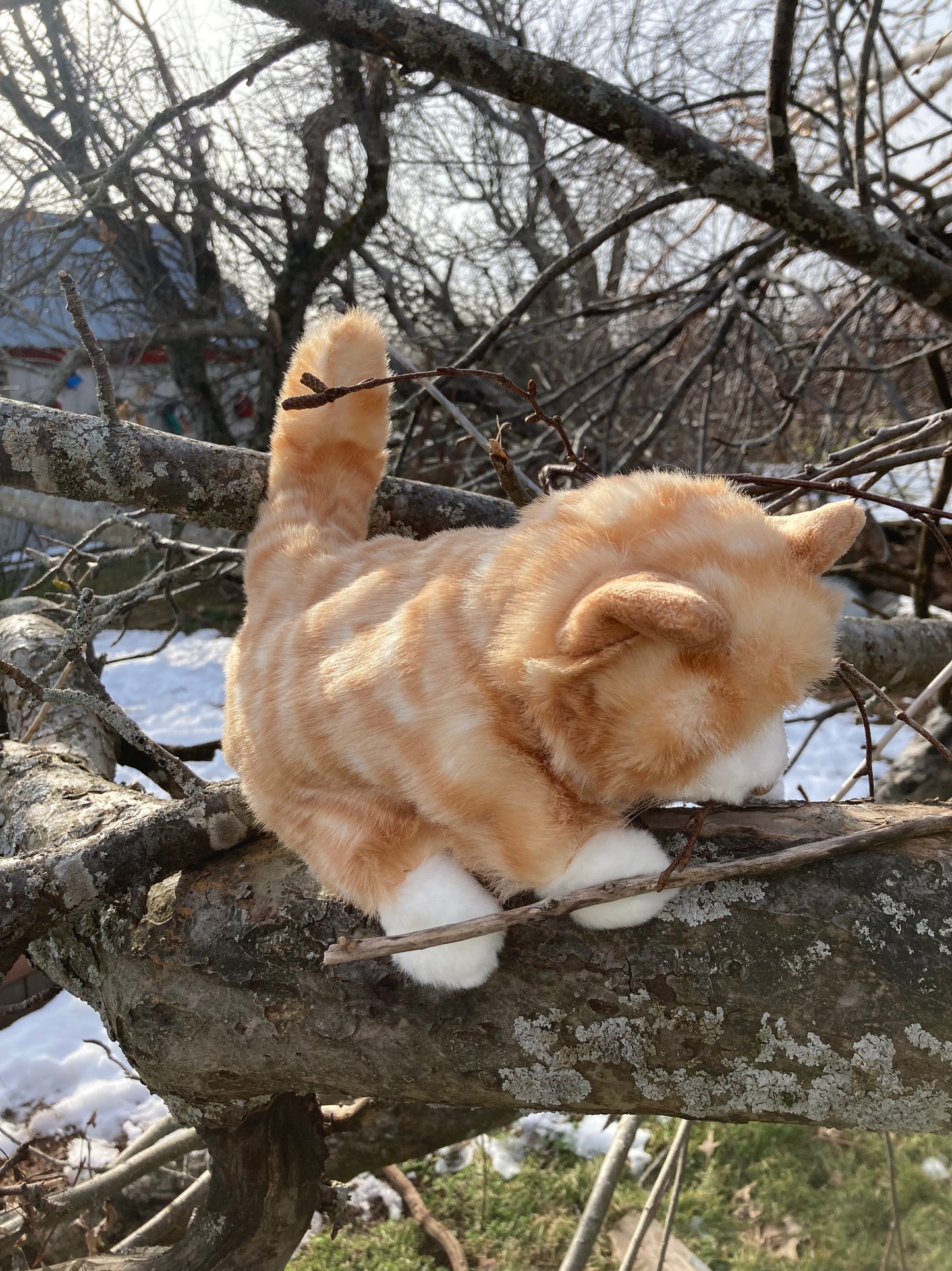 Soft Puppet Pet - ORANGE TABBY KITTEN Hand Puppet