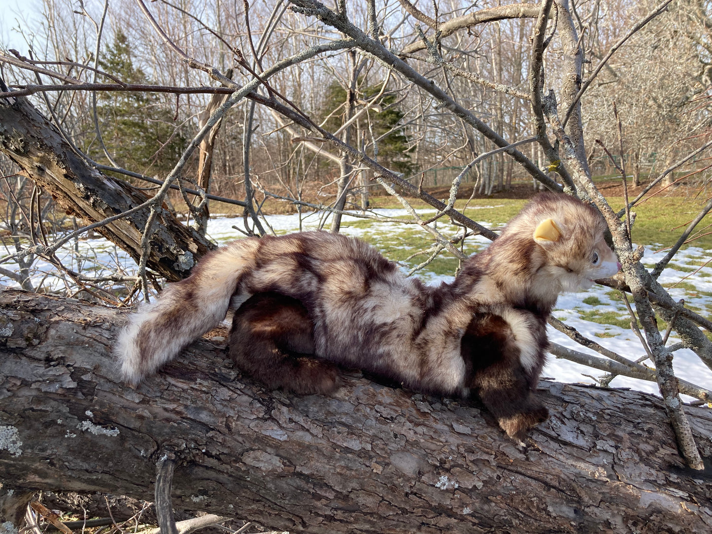 Soft Puppet Toy - FERRET Hand Puppet