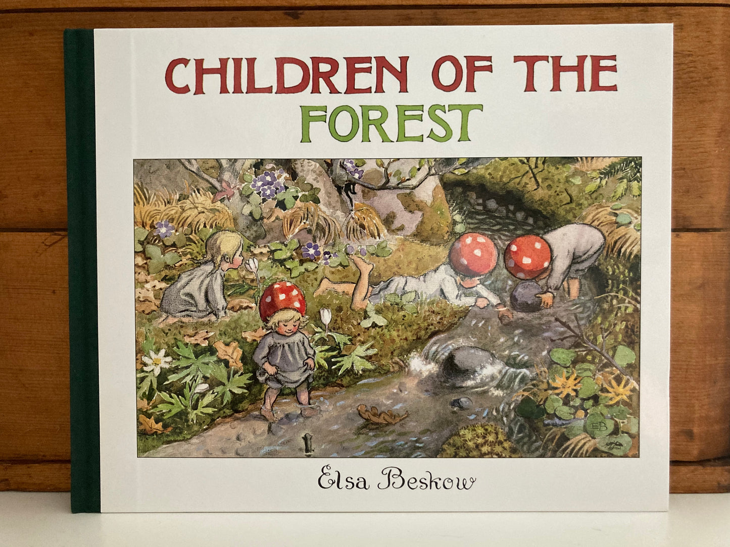 Children's Picture Book - CHILDREN OF THE FOREST