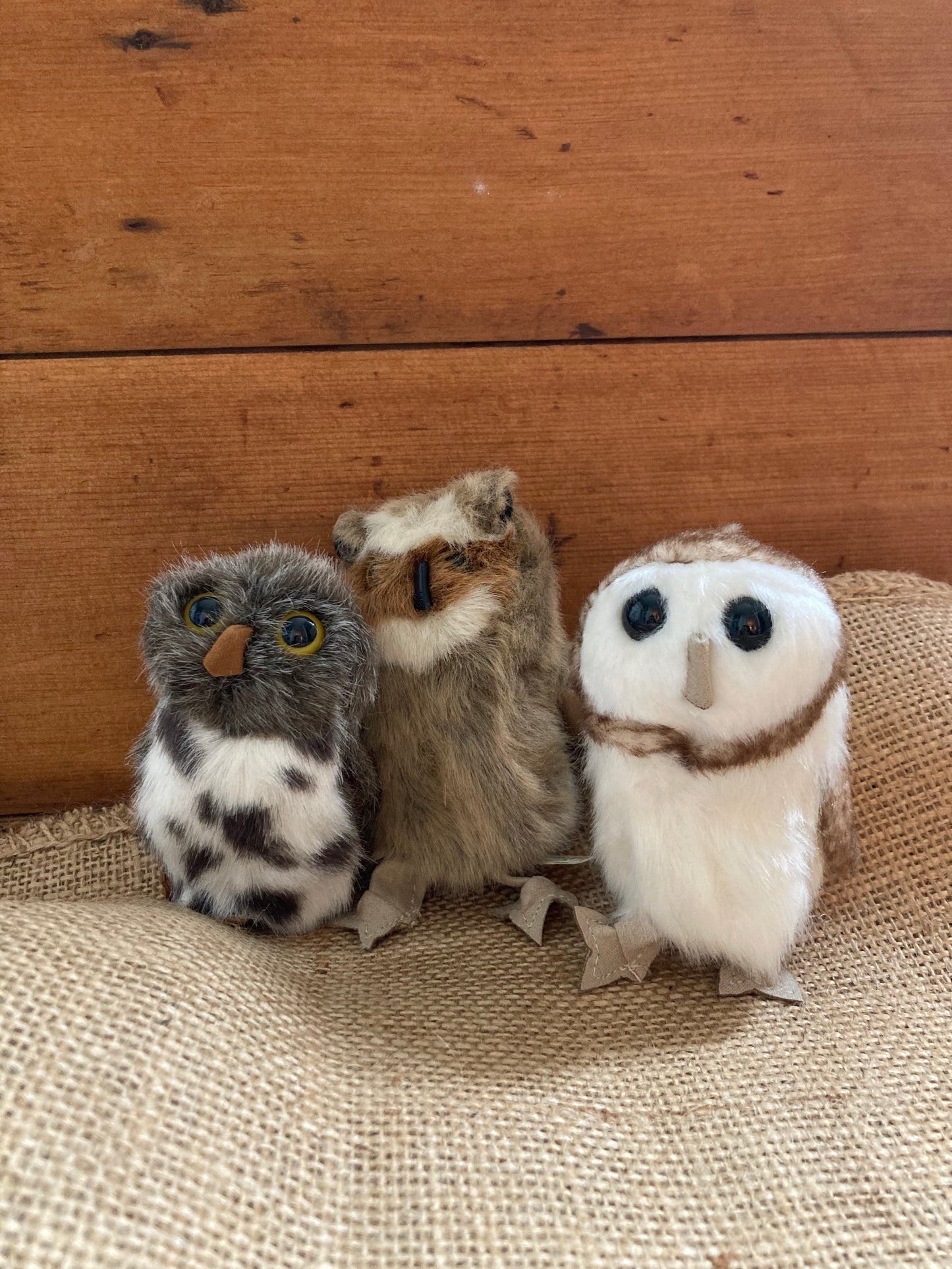 Soft Toy Finger Puppet - SPOTTED OWL